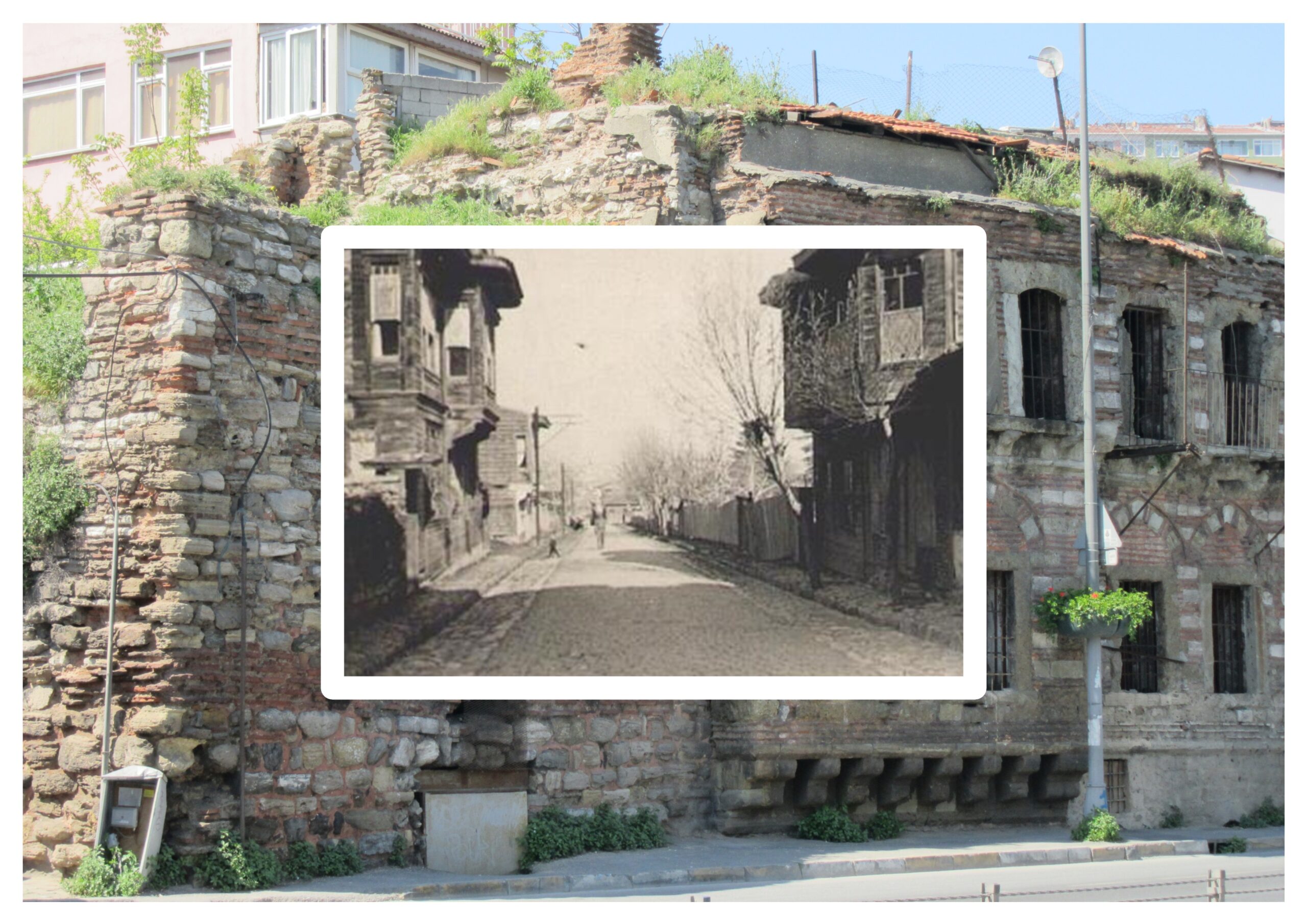 Ayağımızda Donumuz Yok, Fesleğen İsteriz Başımıza