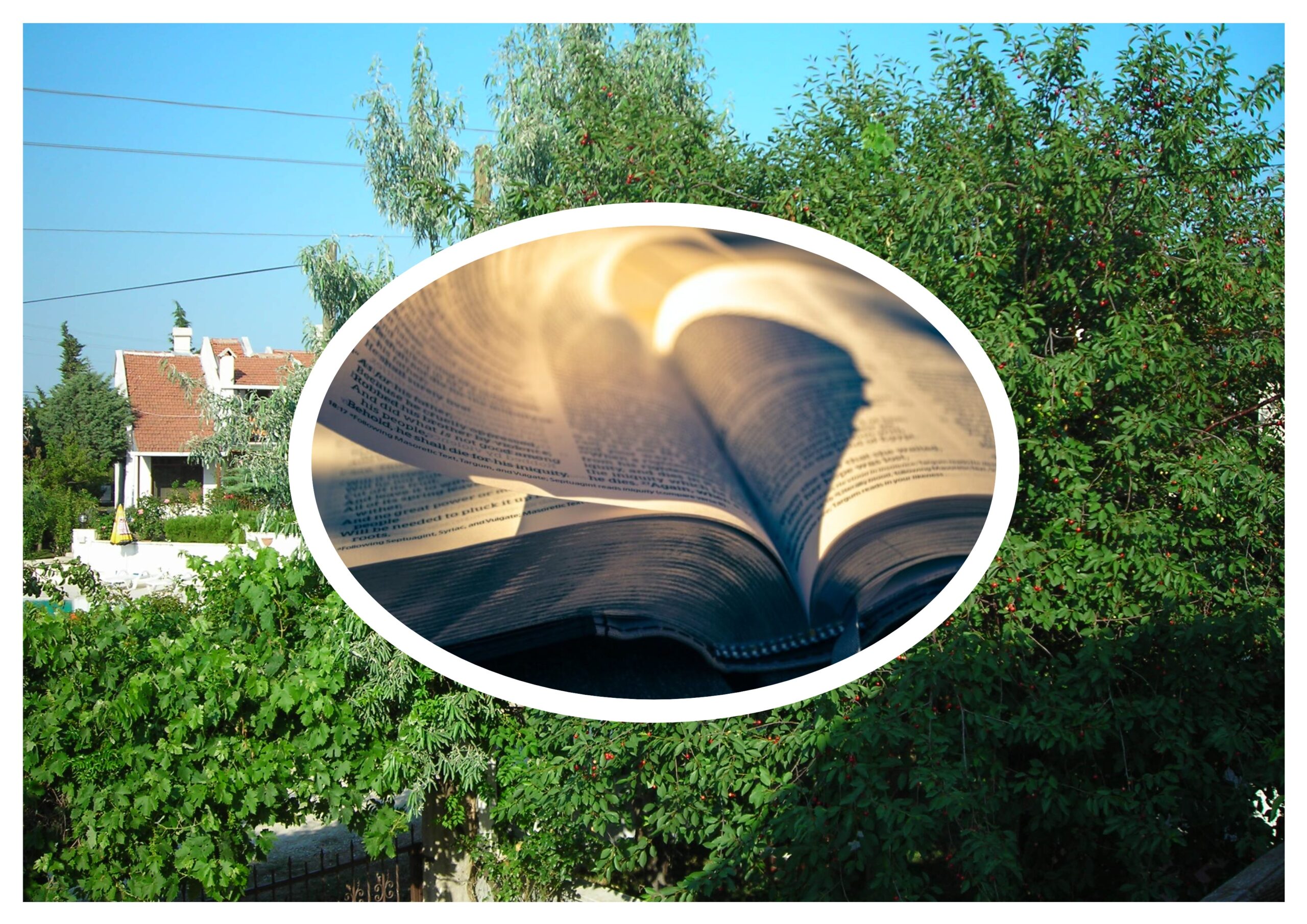 Üçüncü Volümün Teması