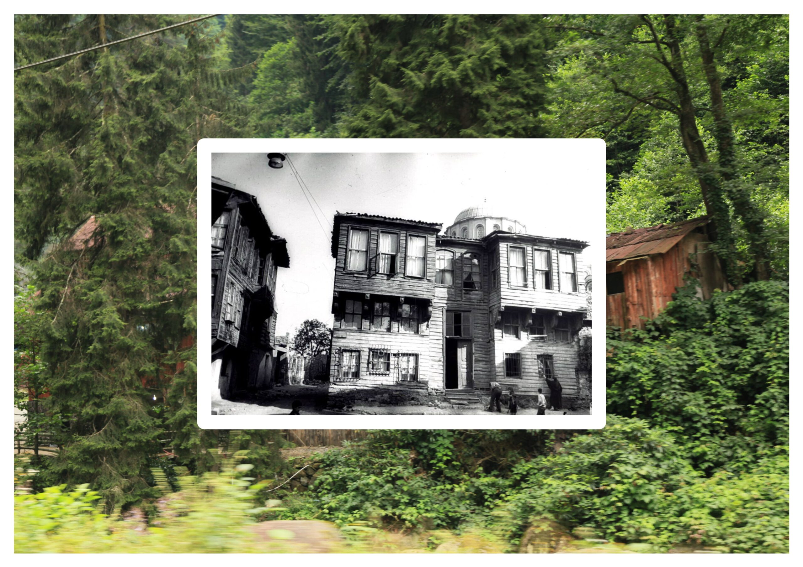 Torun Torba Hayattır