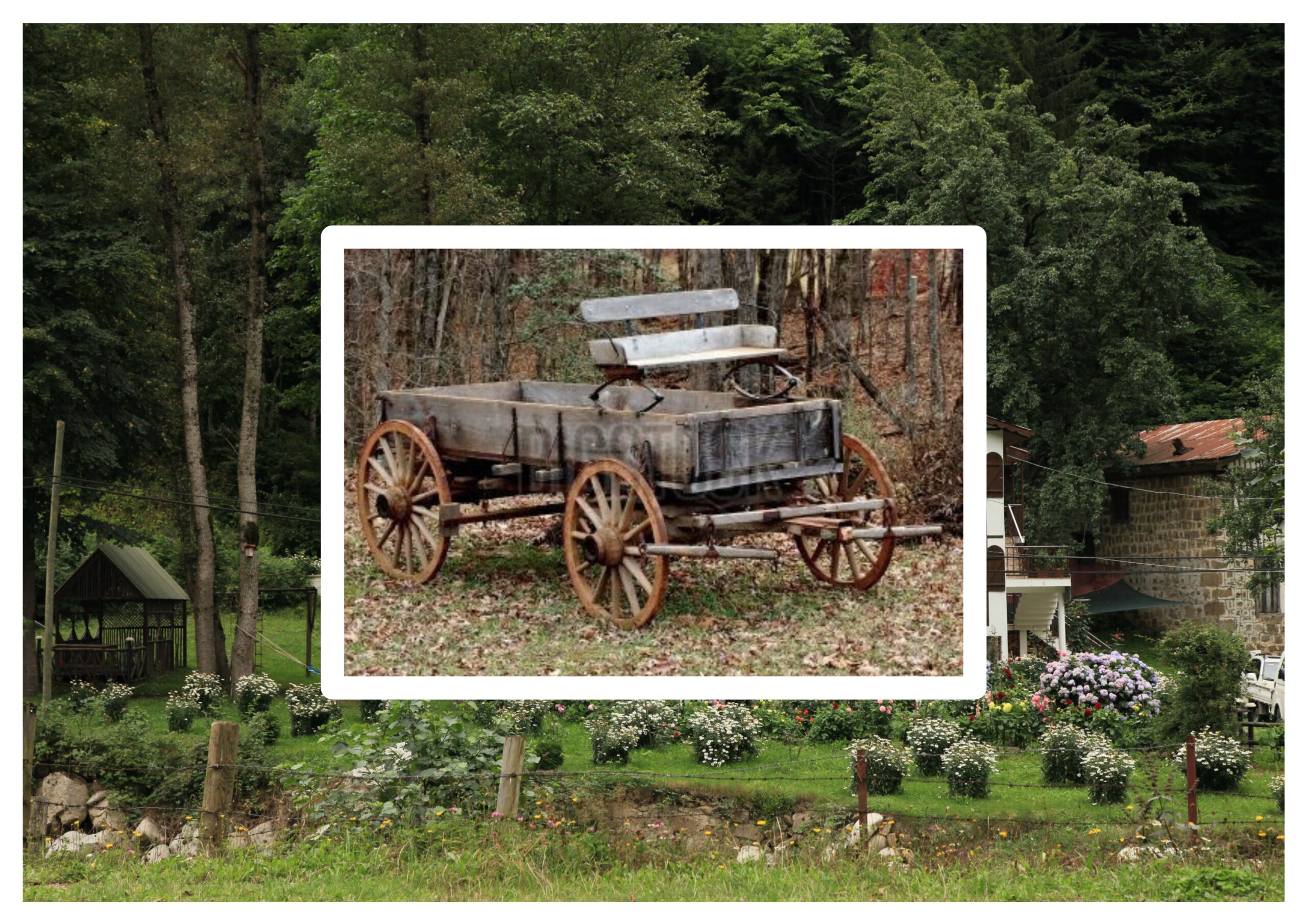 Kilitli Günlük: Aralık 1969