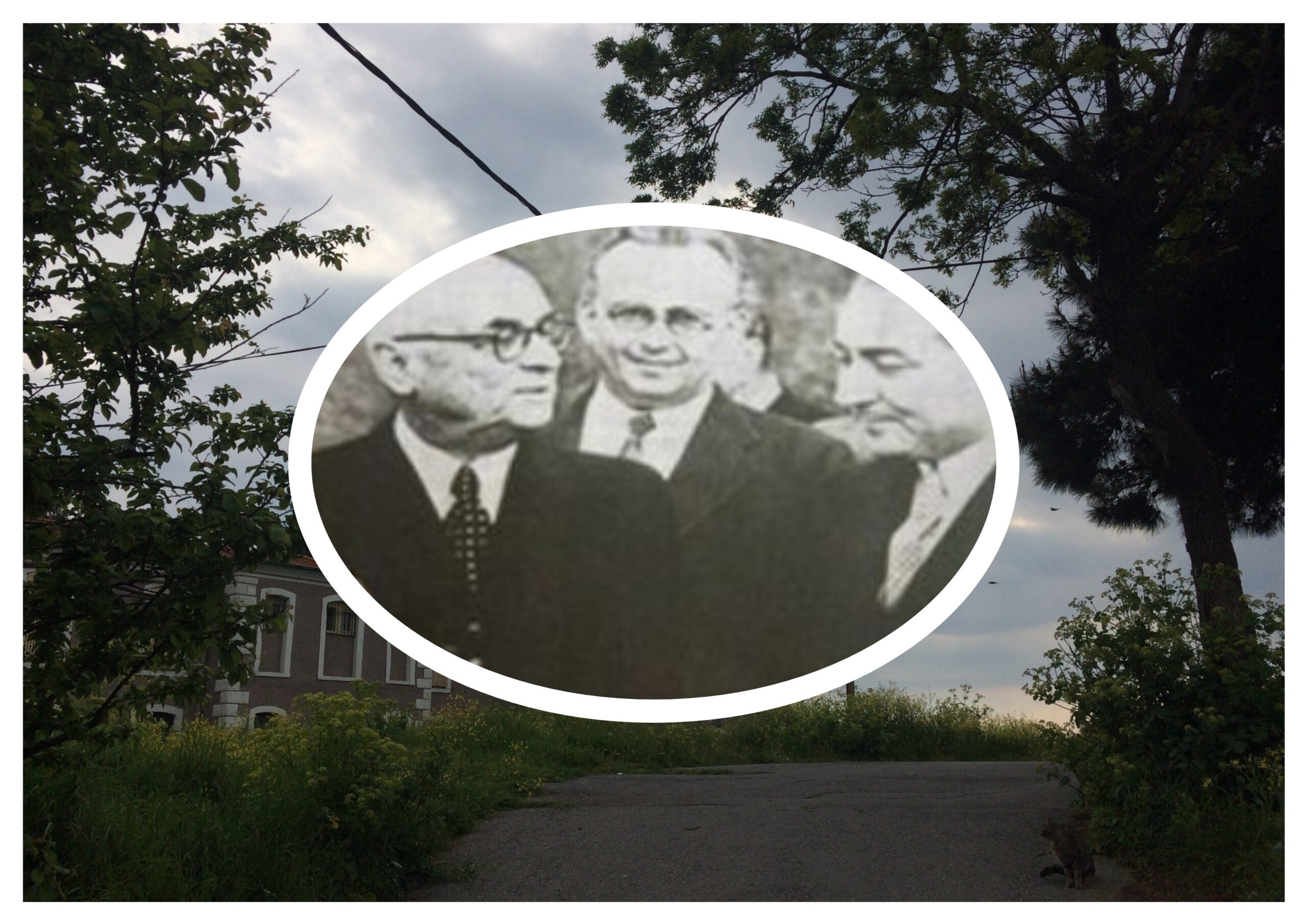 Dört Köşeliyiz Beş Değil, Başımız Şefle Hoş Değil