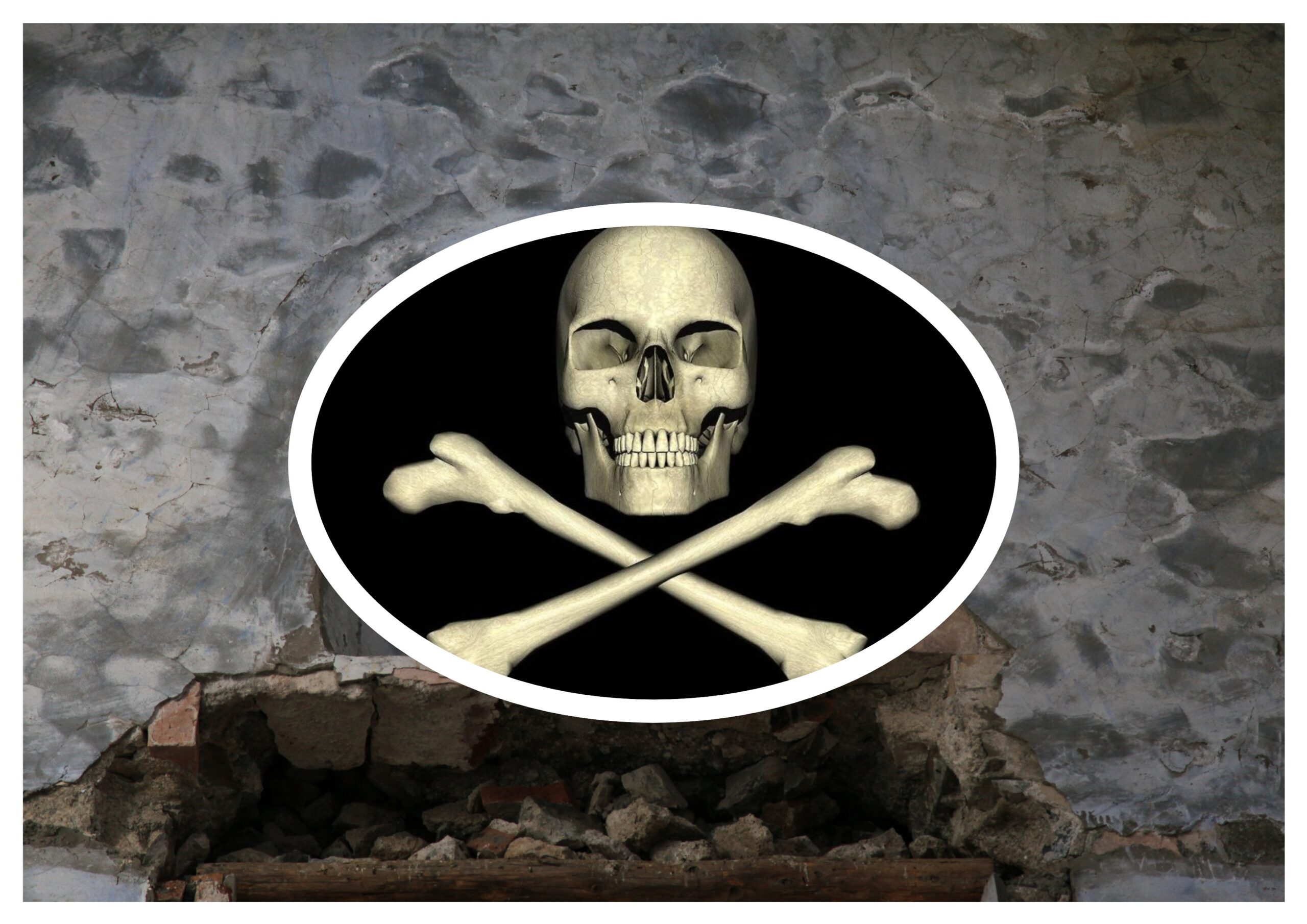 Ev Aynı Ev, Duvar Aynı! Kuru Kafa Seni Nereye Assam?