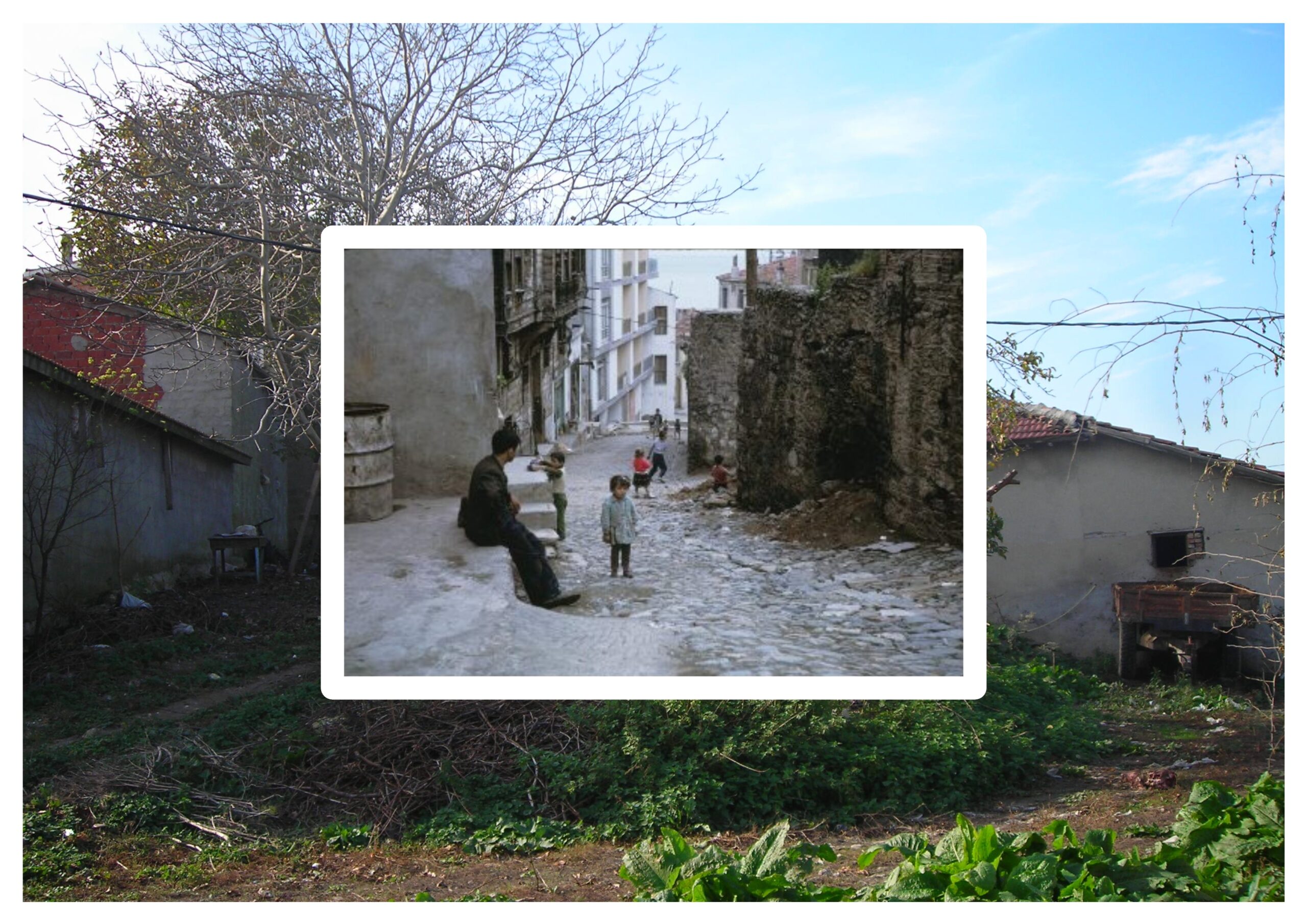 Dirlik Nerede Mumcular Orada Yetişir