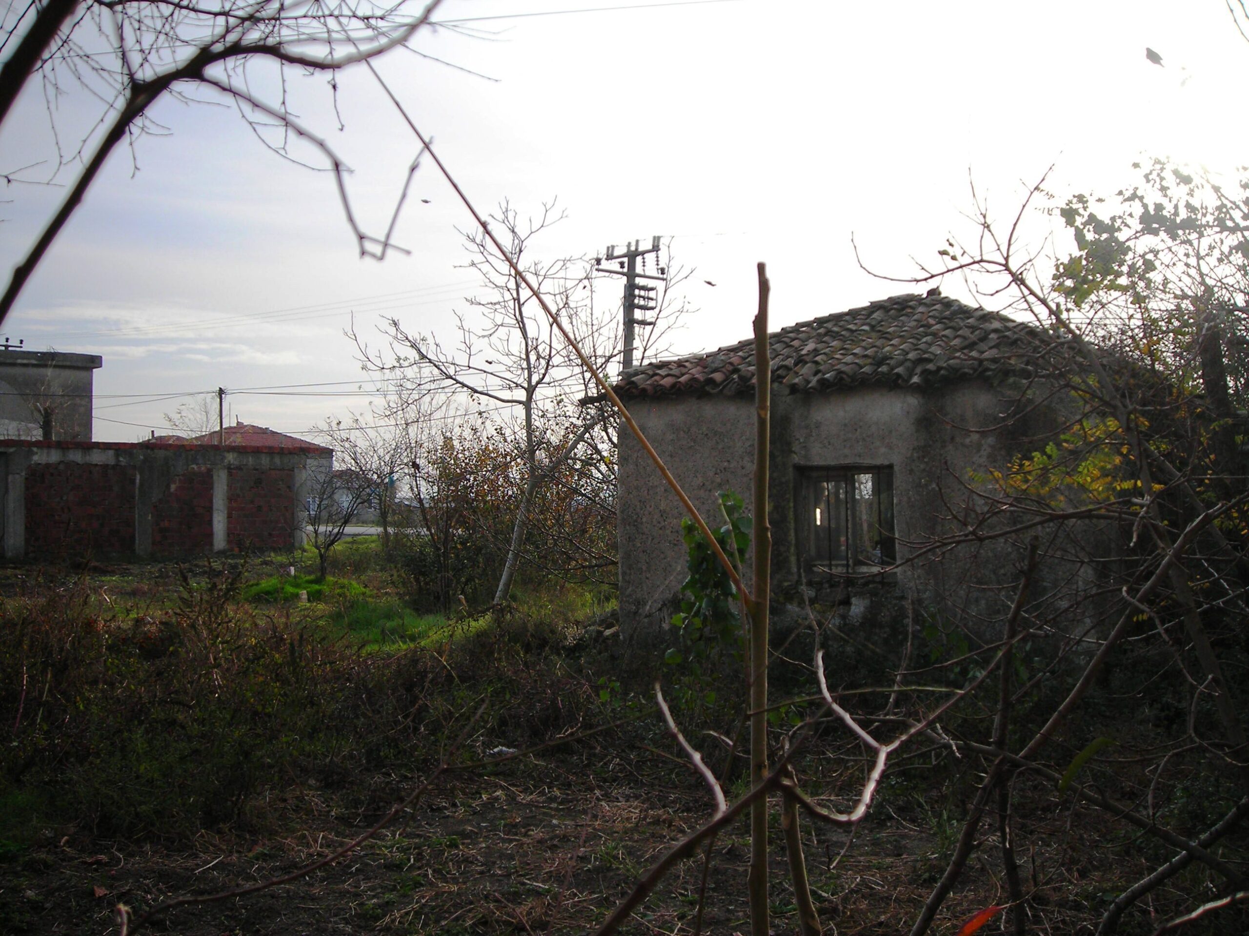 Ütopistlerin Çalışkan ve İnatçı Damarları