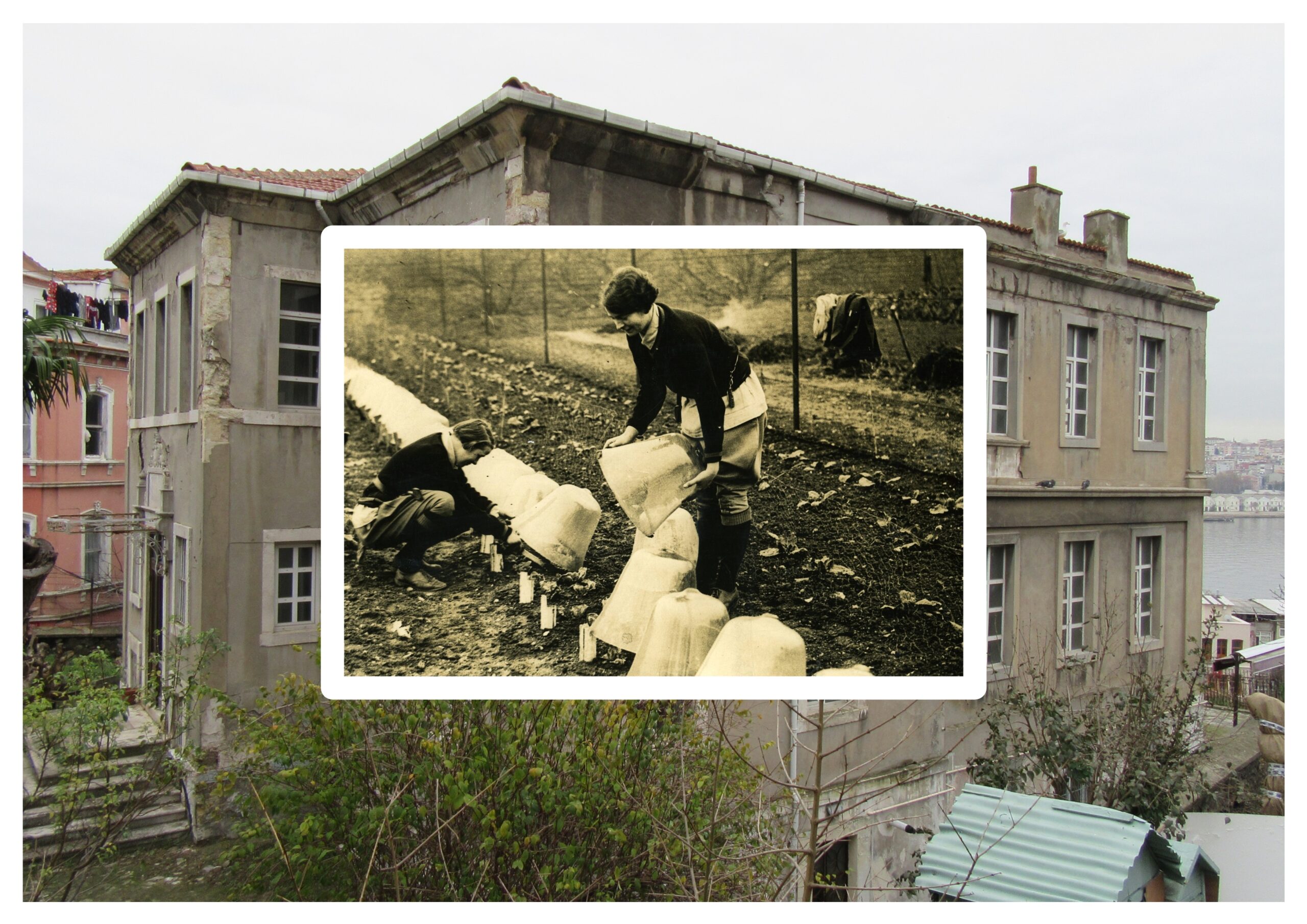 Ebeveynlerden Torunlara Genetik Dönüşümler