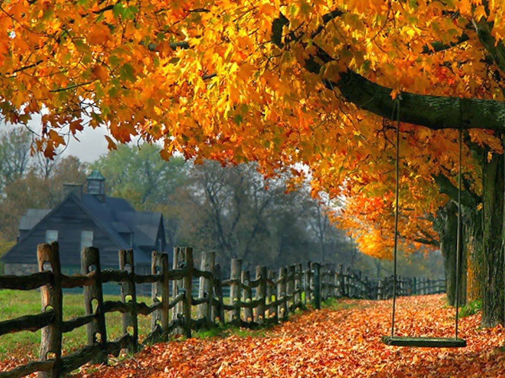 Çilingir’de Gün Erken Işıyor