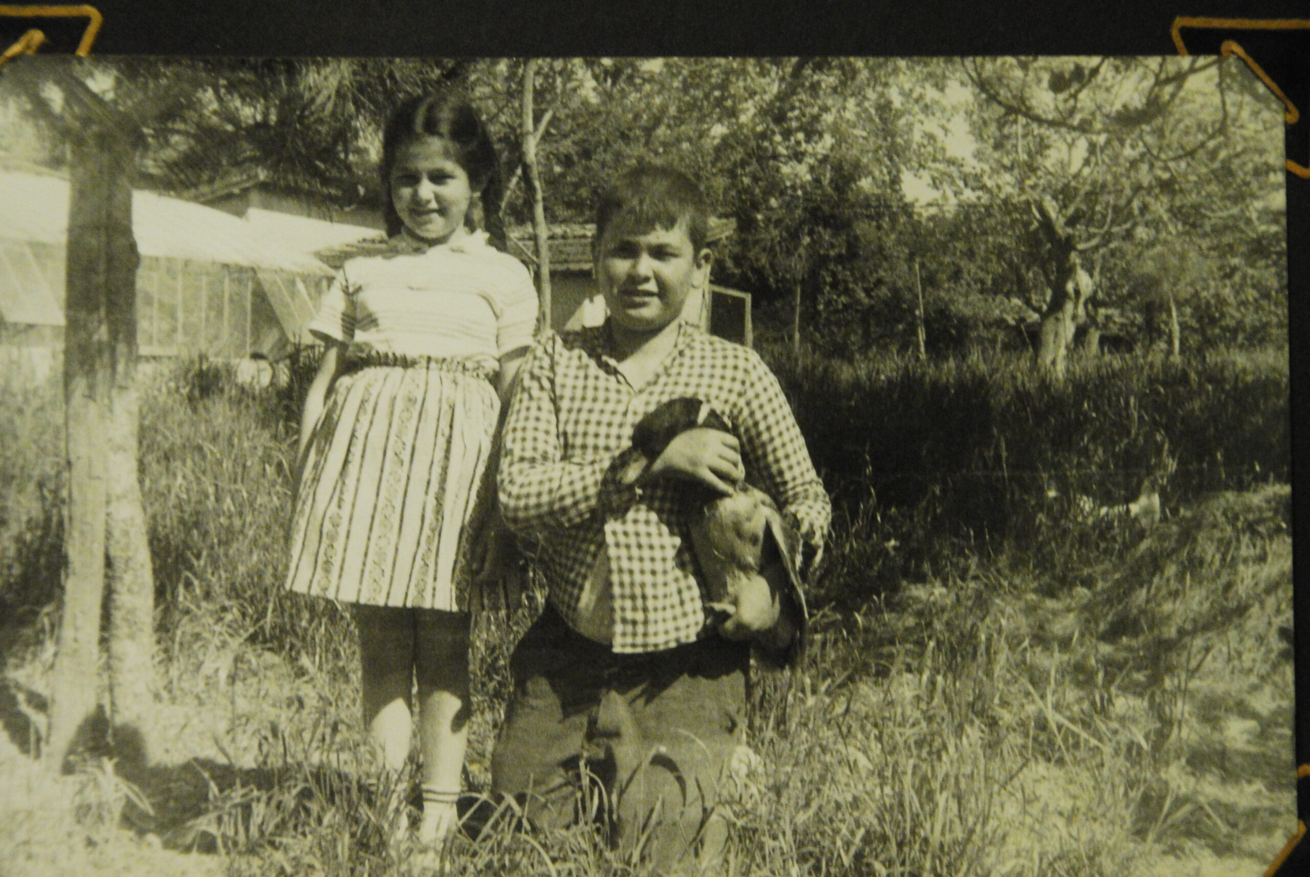 Akrabalarım Avrupa’ya Hayran Bense Bizim Bahçeye