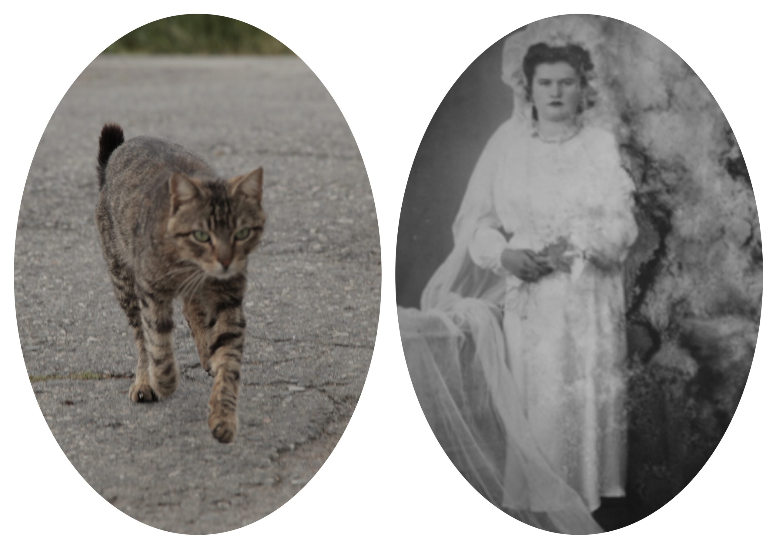 Nikâha Giden Arabanın Tekeri Yolla Gelsin Şekeri