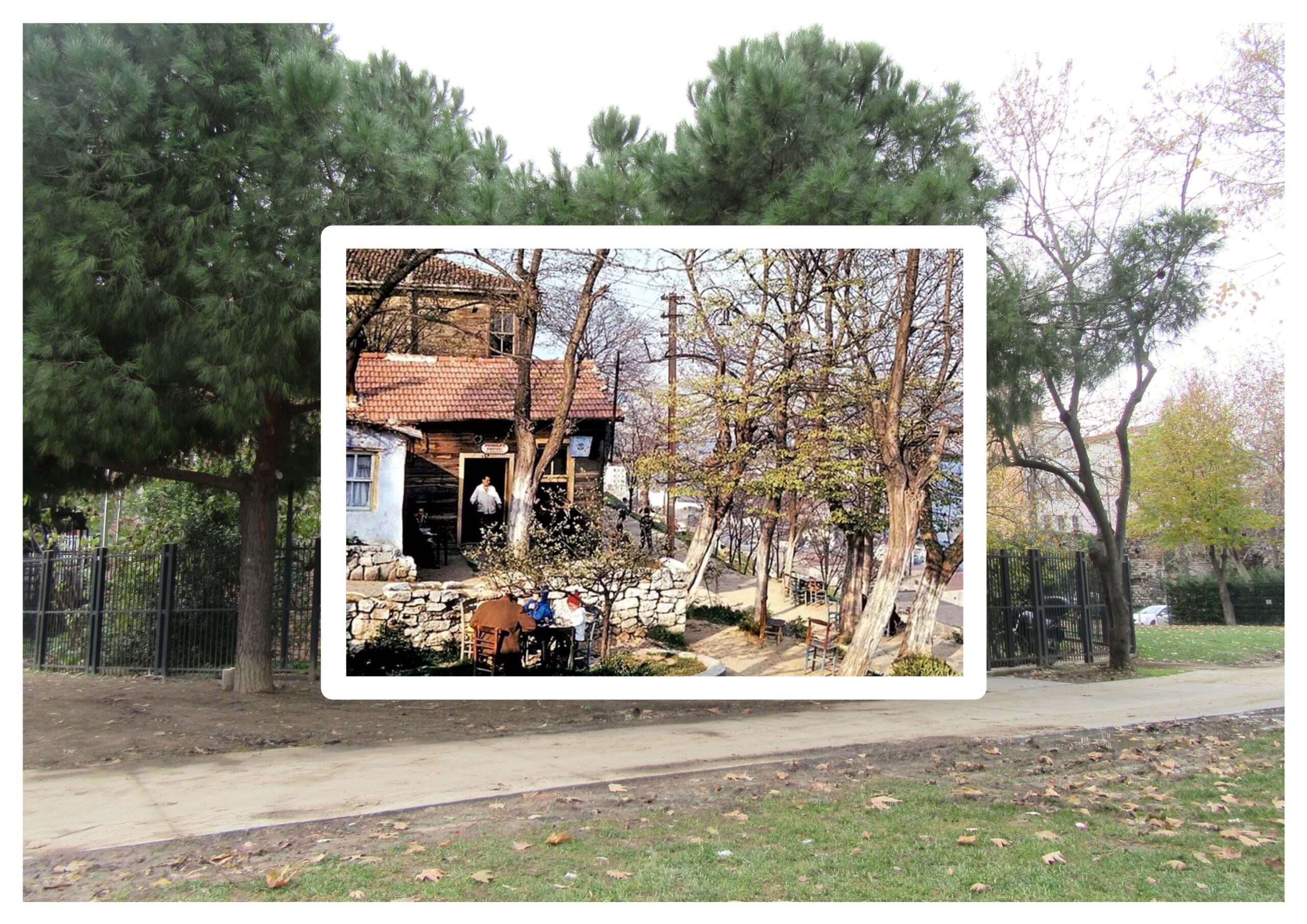 1963-1967 Yılları ~ [1964]