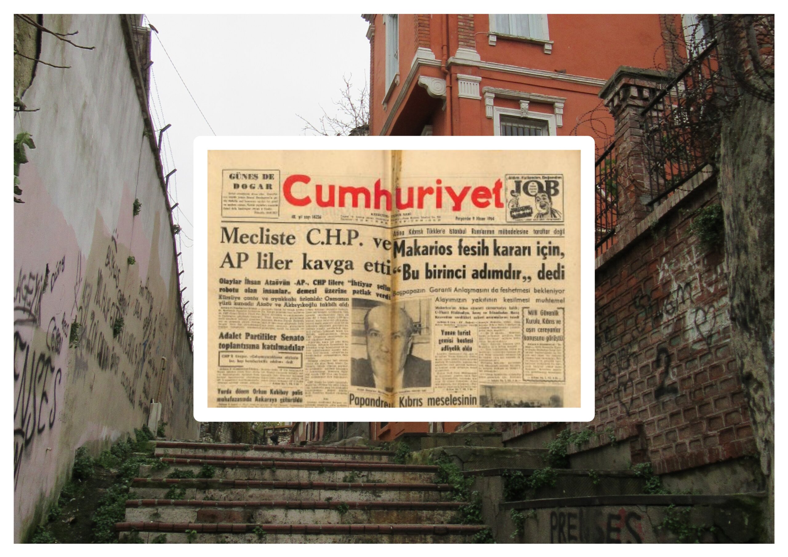 Sen Benim Köpeğim Bile Olamazsın Gülüüüm