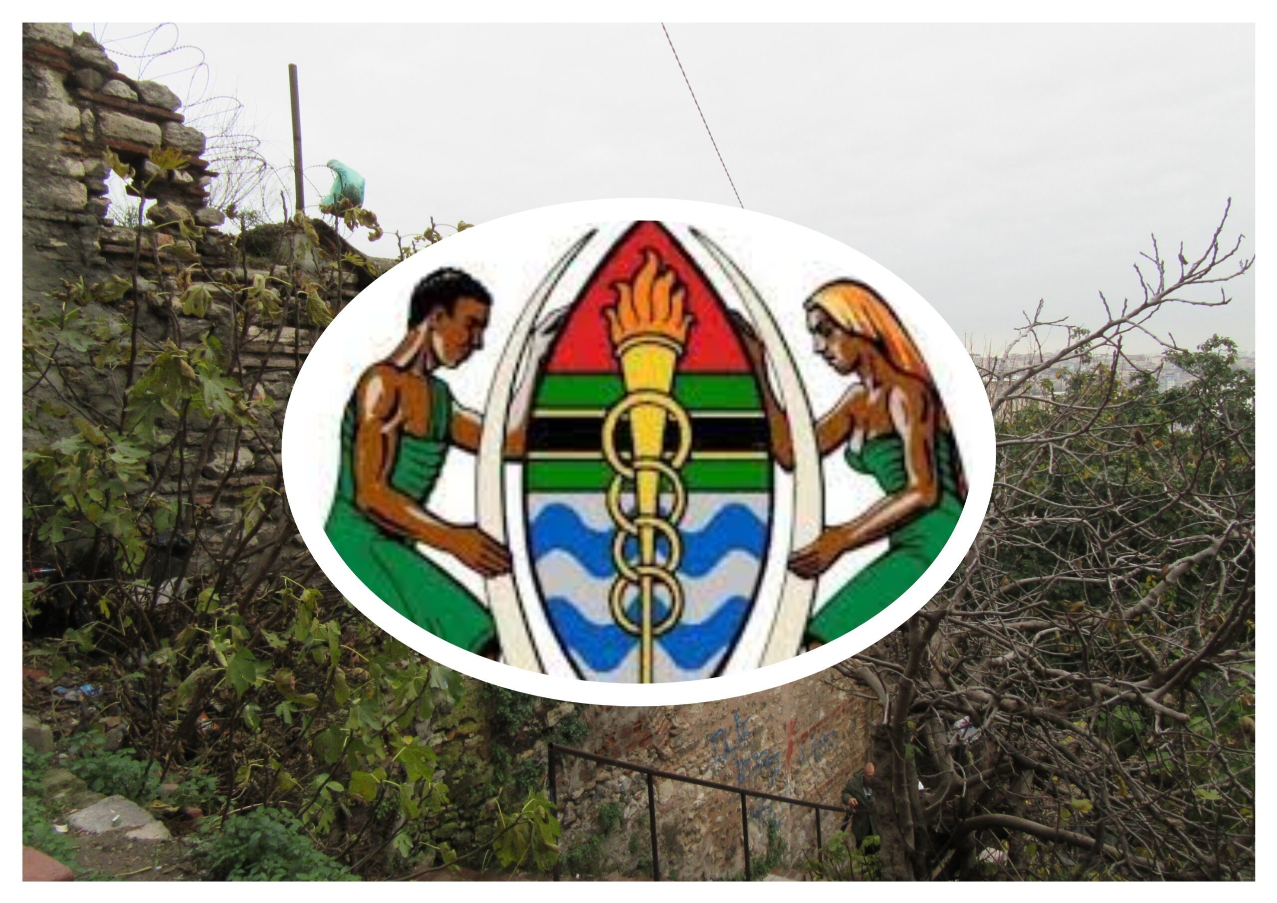 EK-66: Tanganyika ve Zanzibar Flörtü Evlilik ile Sonuçlanınca