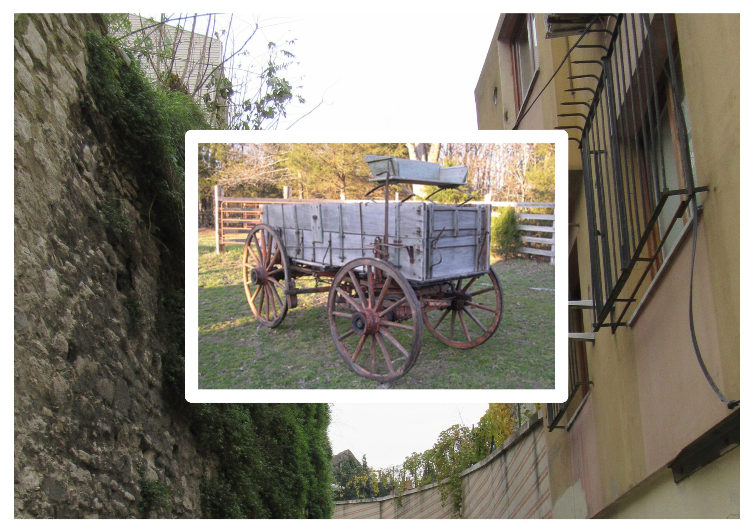 Kilitli Günlük: Aralık 1964