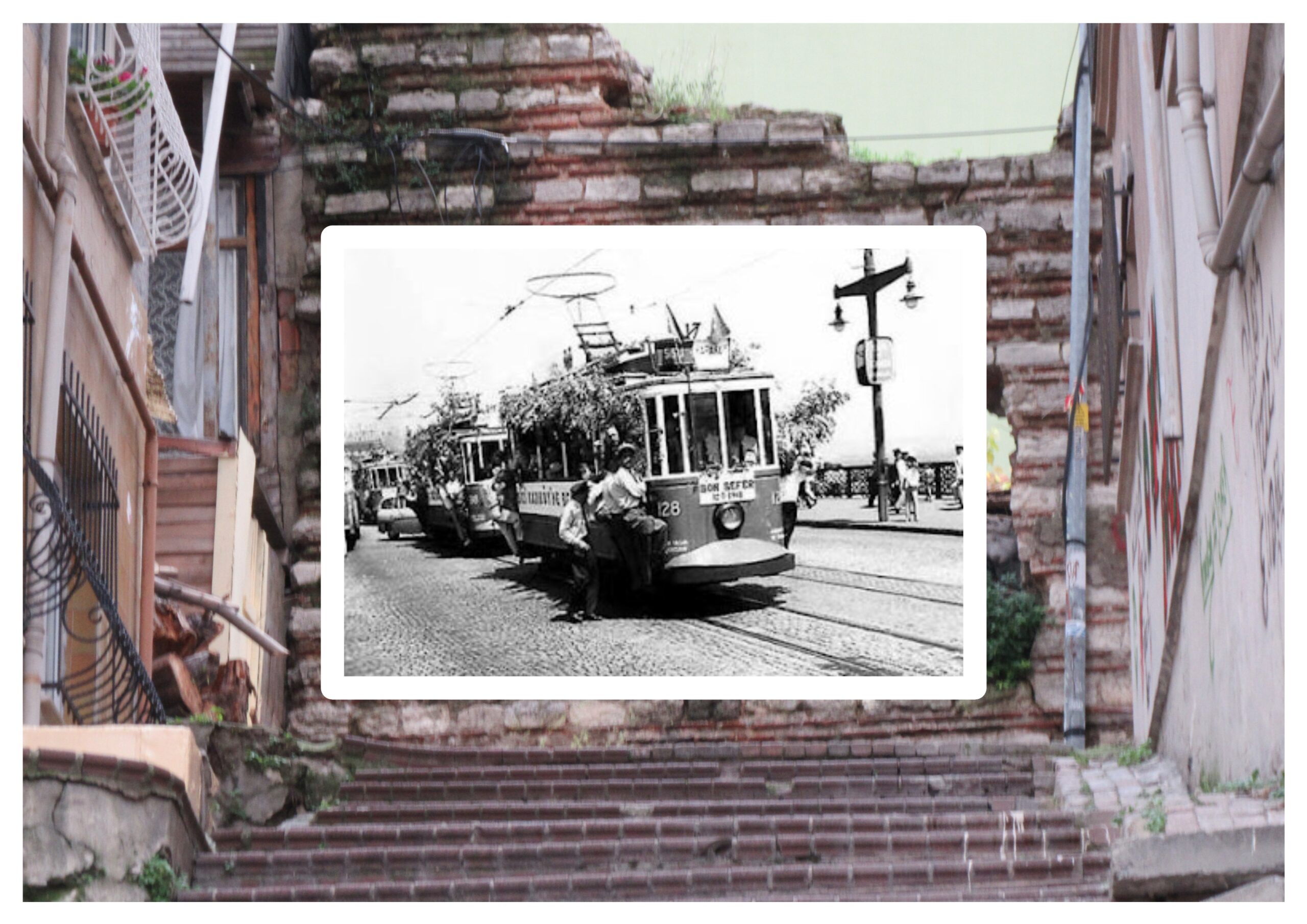 Baykuşlar Virane Gönülleri Sever