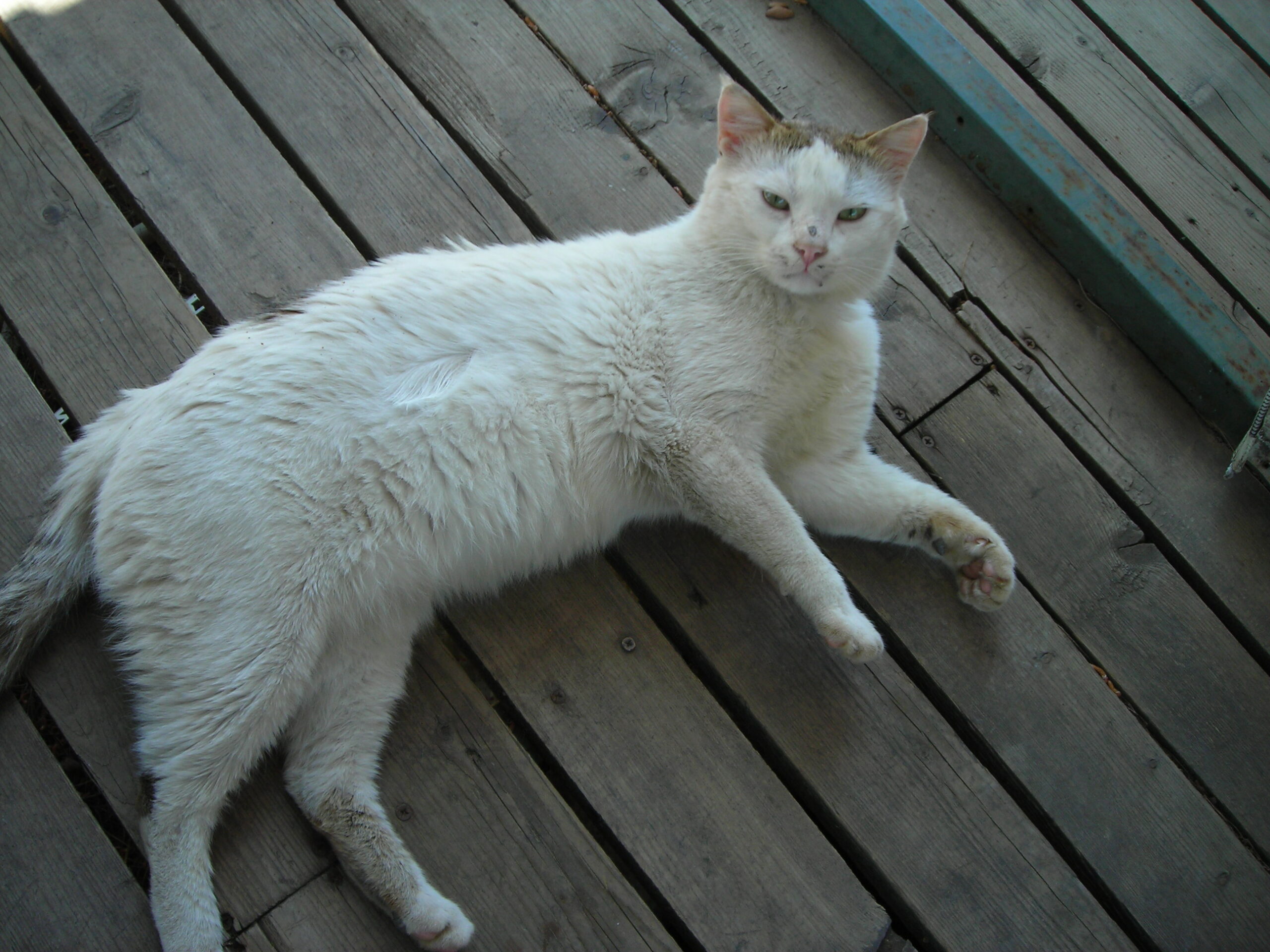 65’in Peşinde 64’e Veda