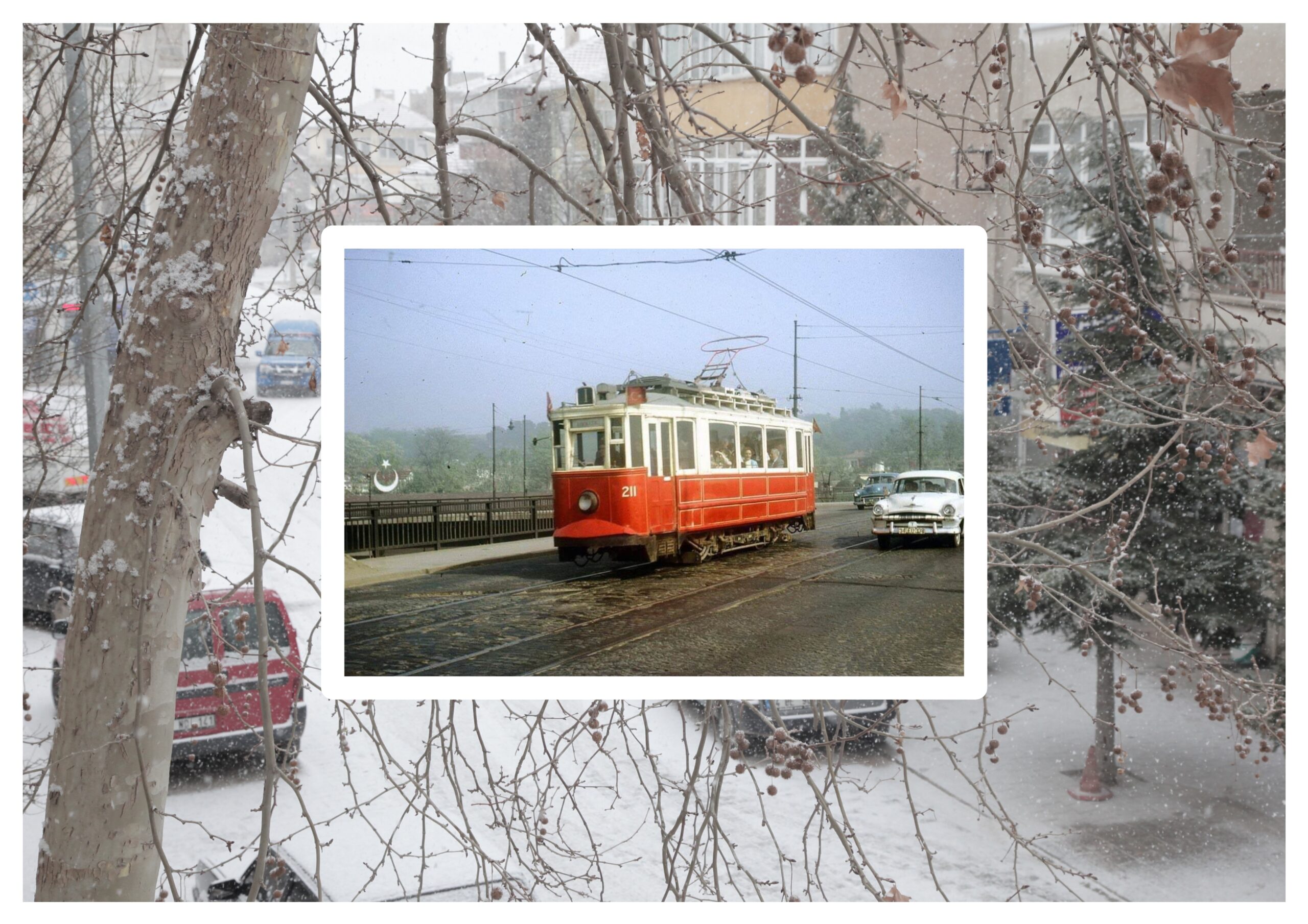 1963-1967 Yılları ~ [1965]