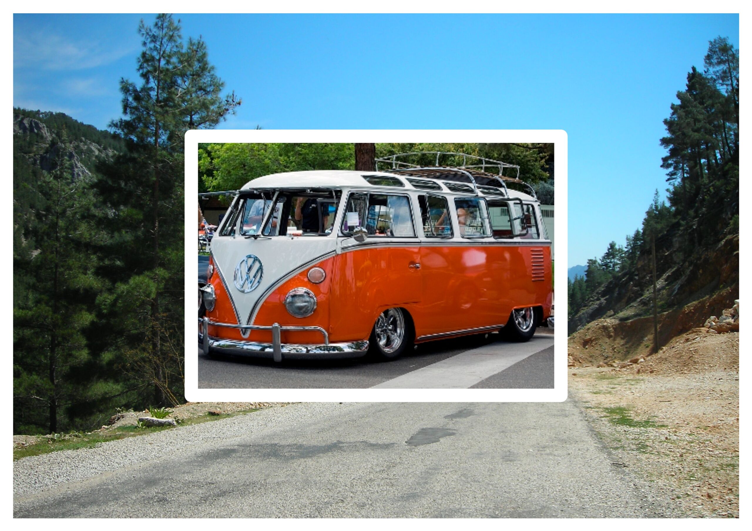 Acemi Nalbant Kürt Eşeğinde Kendini Dener