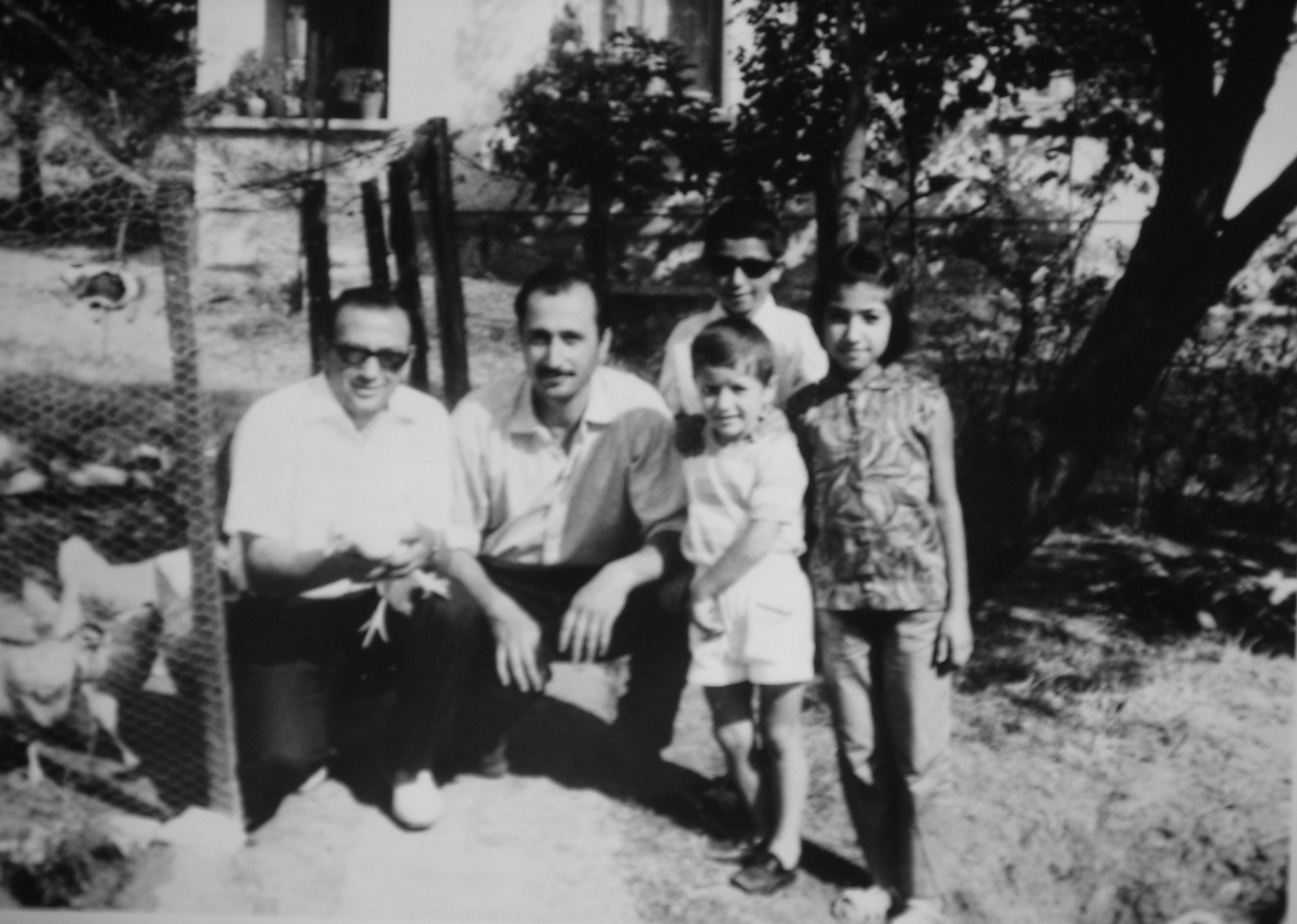 Davetsiz Gelen Döşeksiz Tavuklarsa Kümeste Oturur