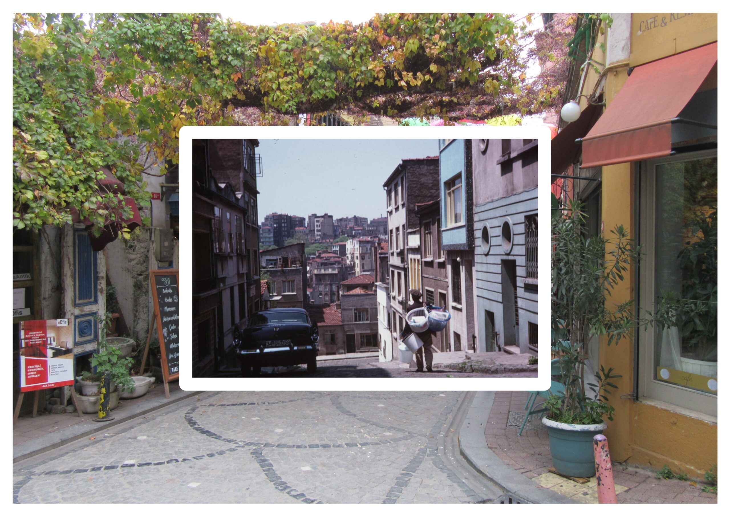 EK-81: Bahçelerin Düşmanı Apartman Devri Dörtnala