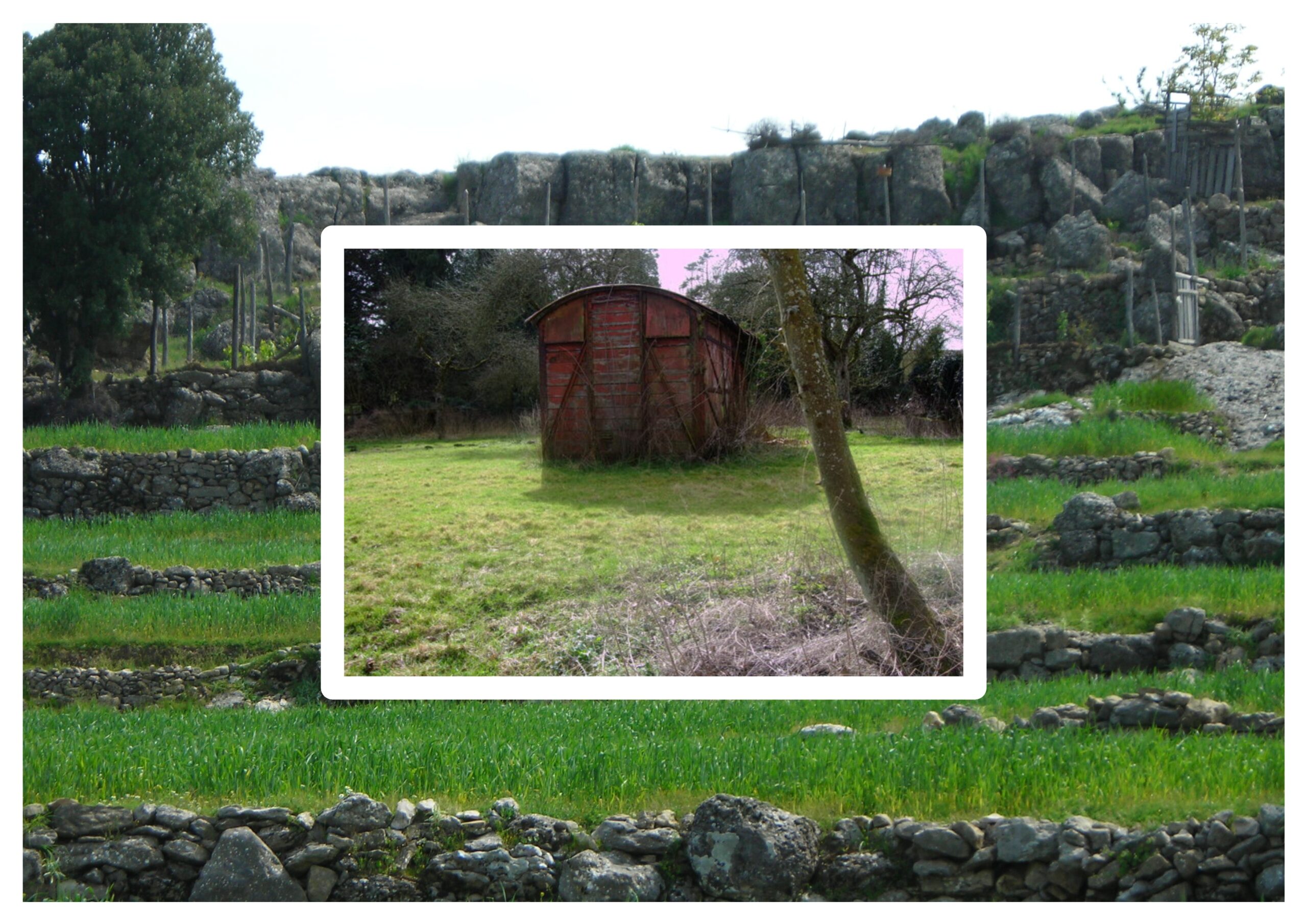 Kilitli Günlük: Nisan 1966