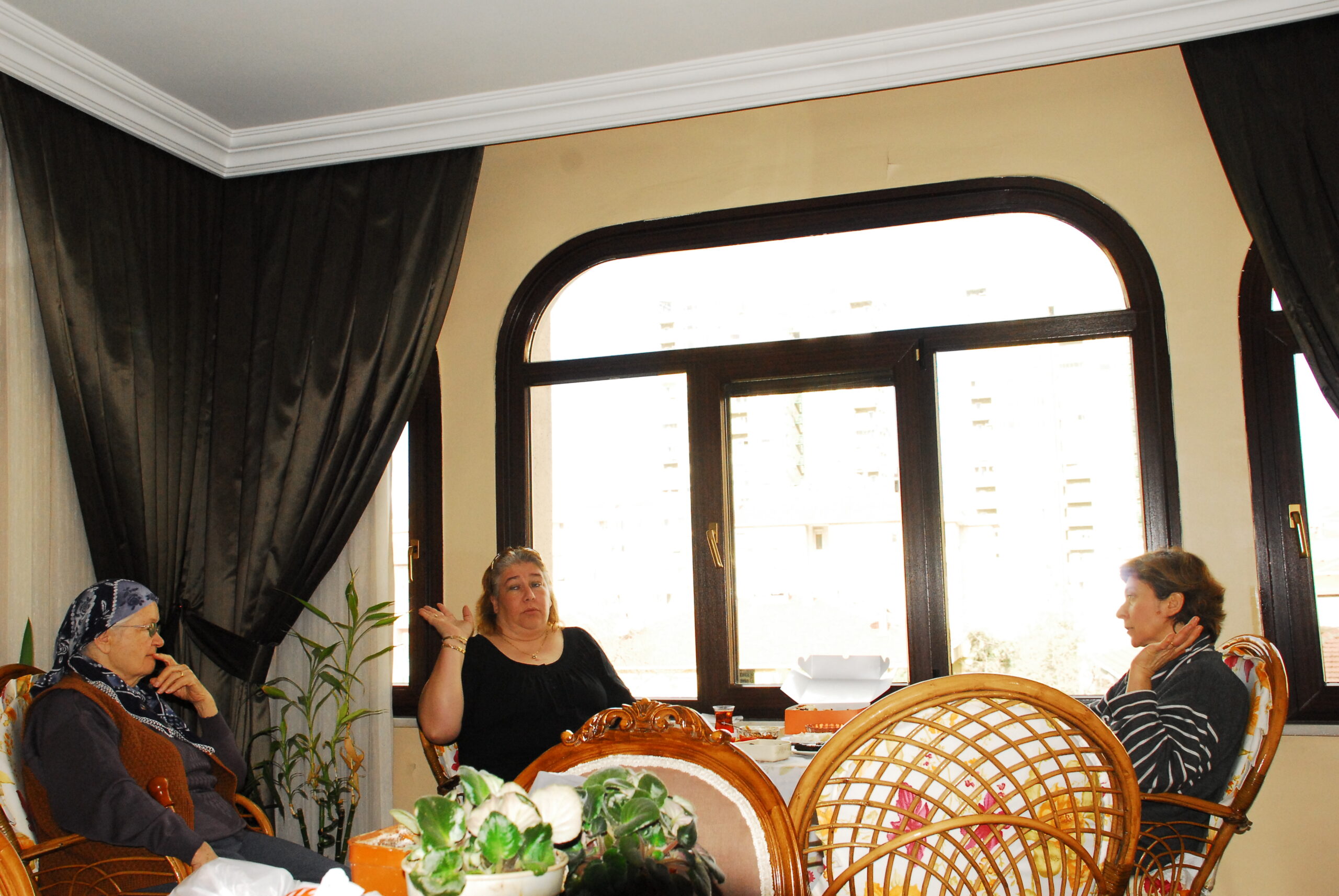 İlk Kuşağın Ayrışımı