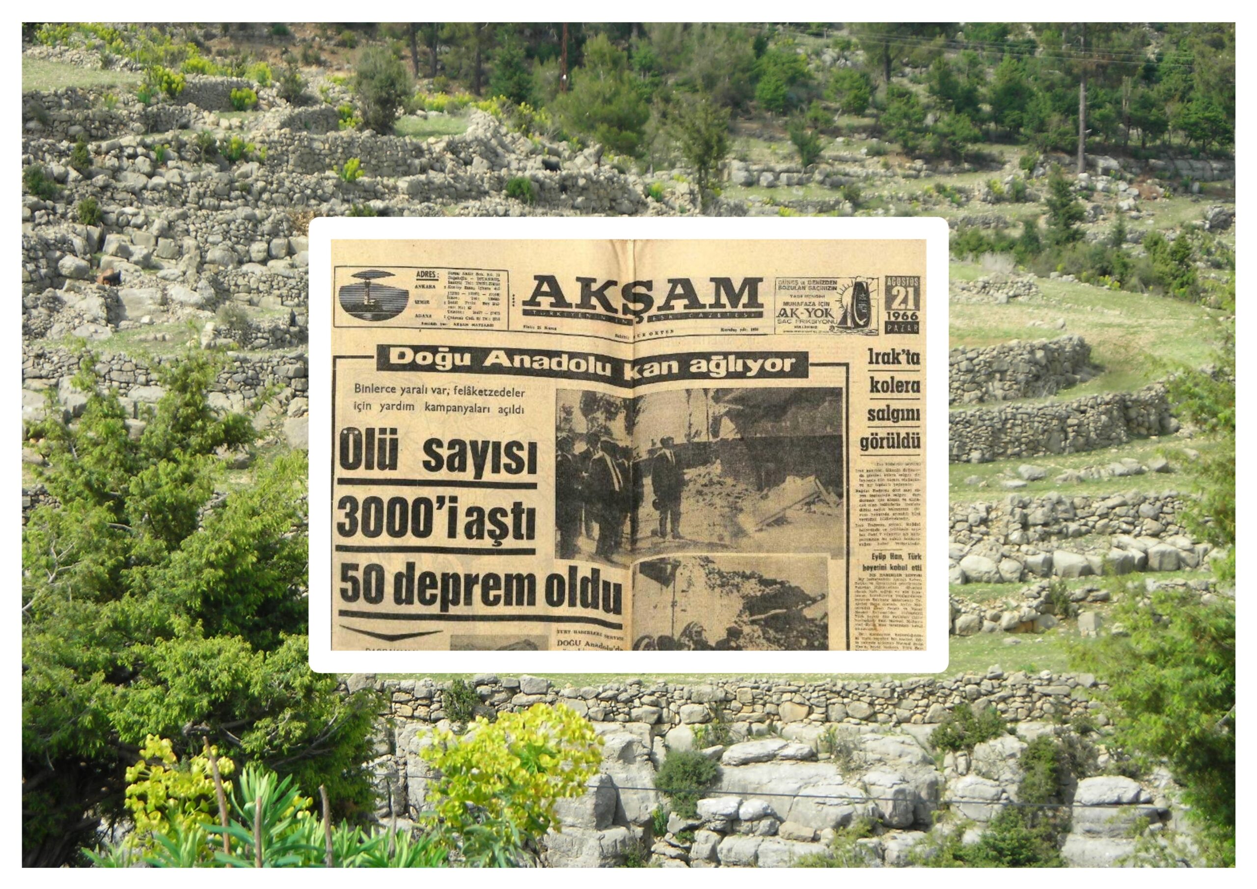 Ağustos 1966 Olayları