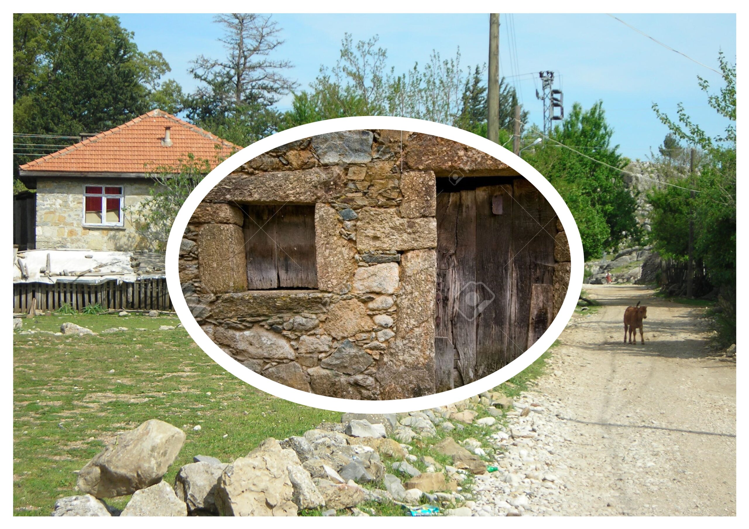 Kilitli Günlük: Şubat 1967