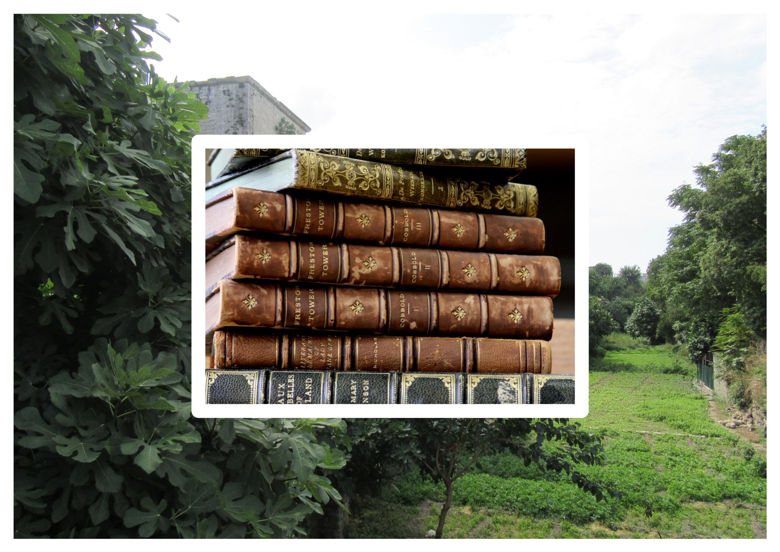 Kilitli Günlük: Mart 1967