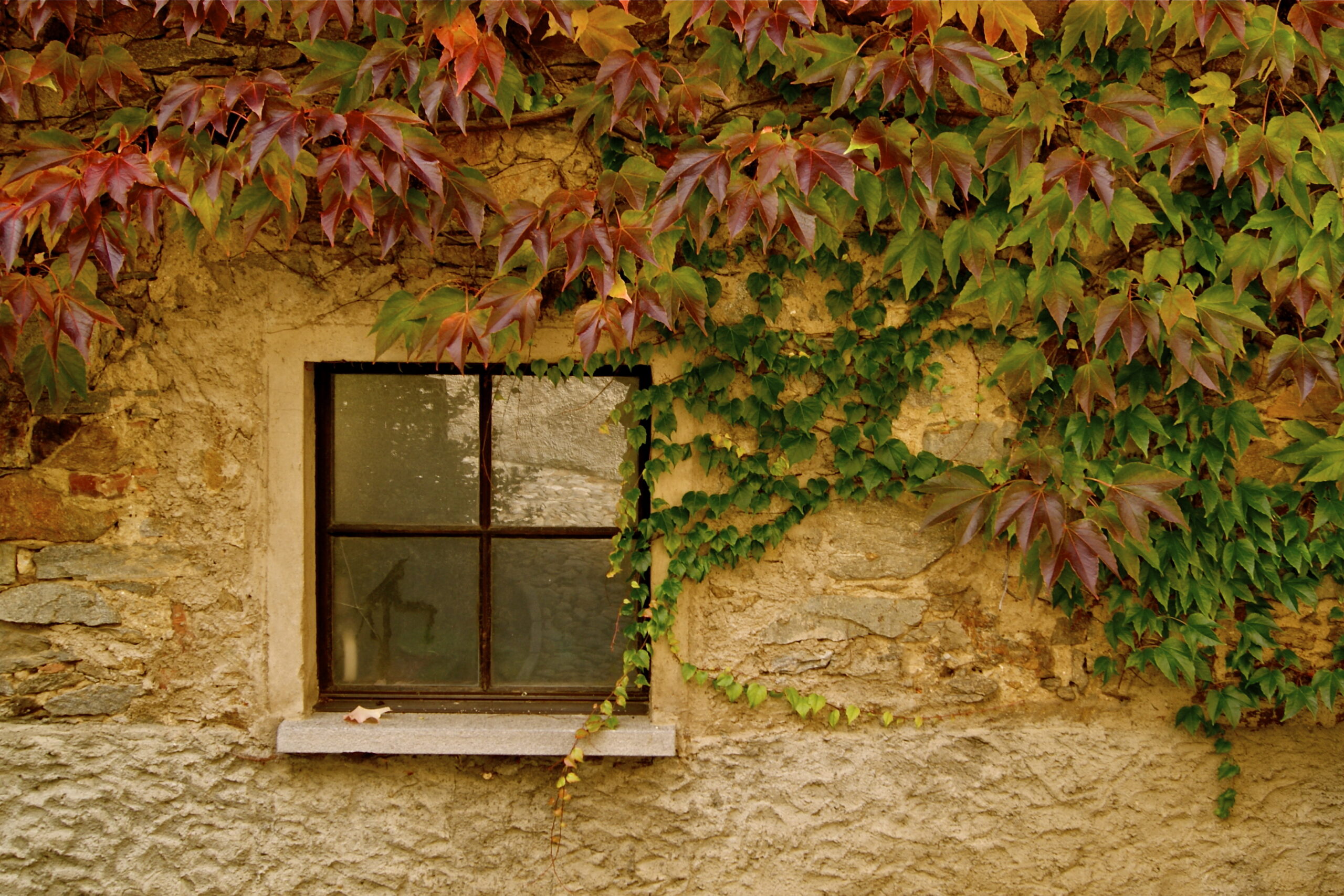 Kilitli Günlük: Aralık 1967