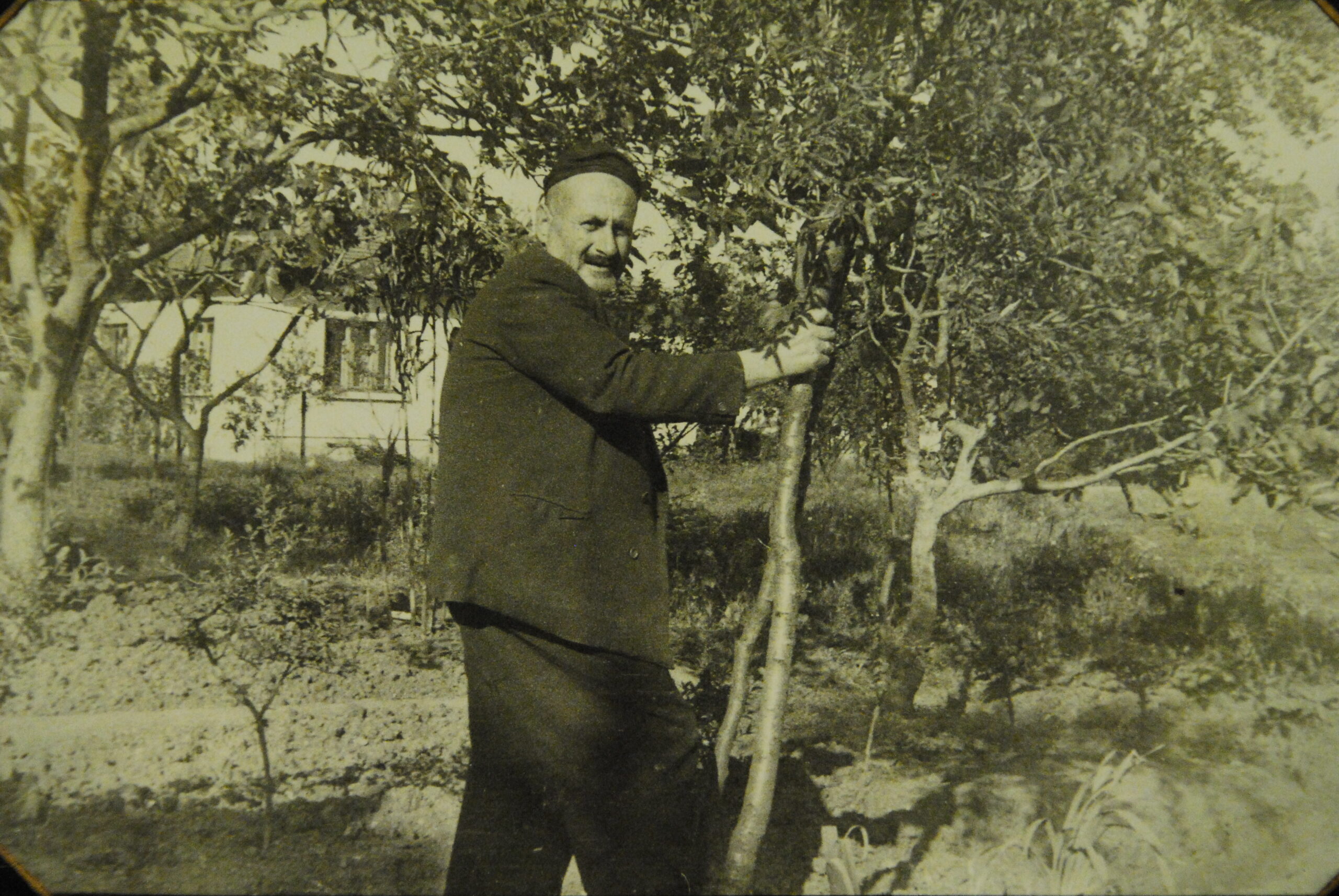 Estetik Pansuman da Bir Tür Bastonun Habercisi