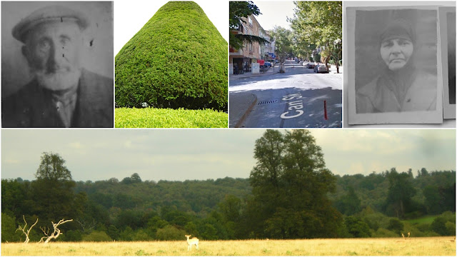 Gazi Mustafa Sessiz Sedasız