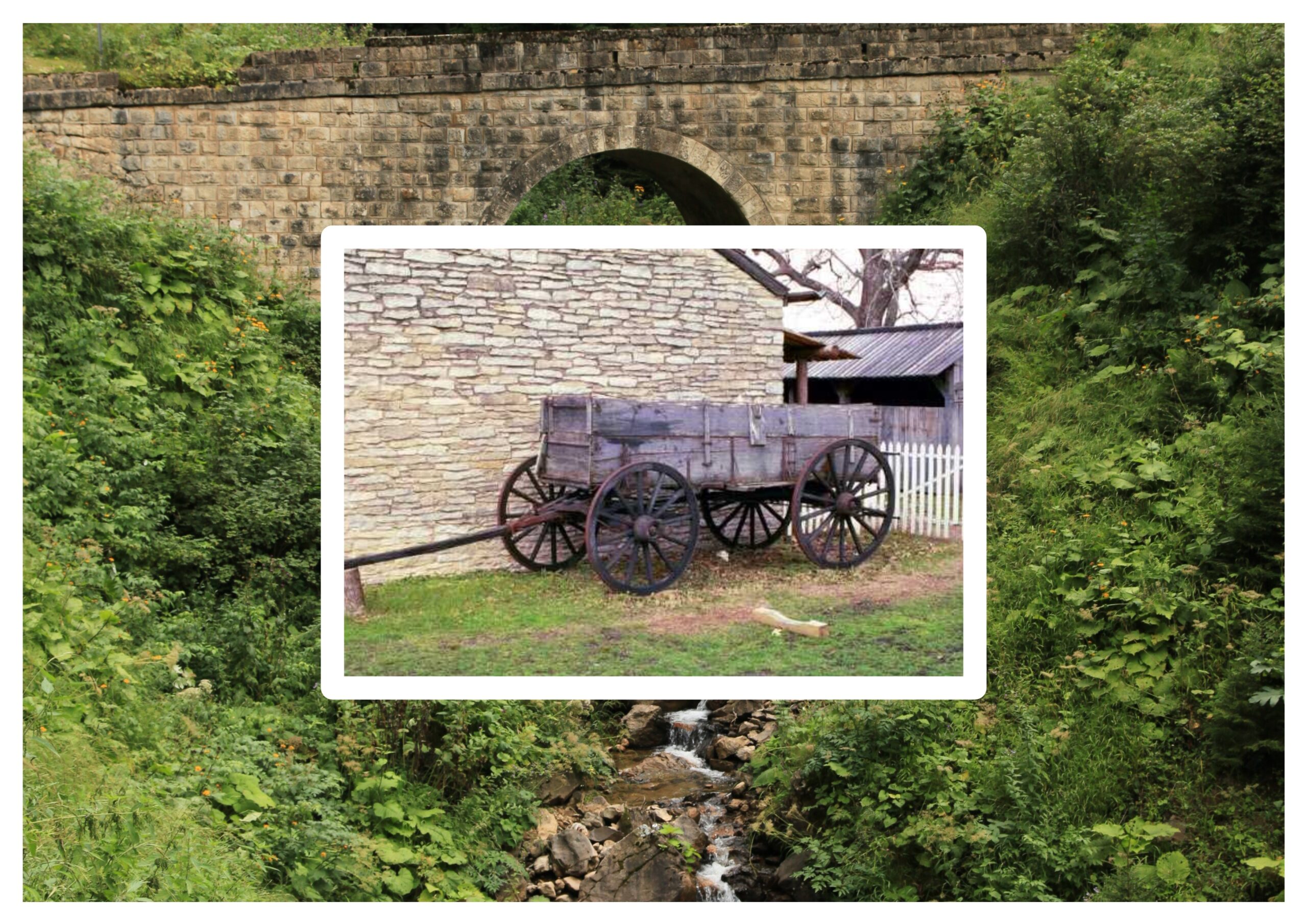 Kilitli Günlük: Şubat 1969