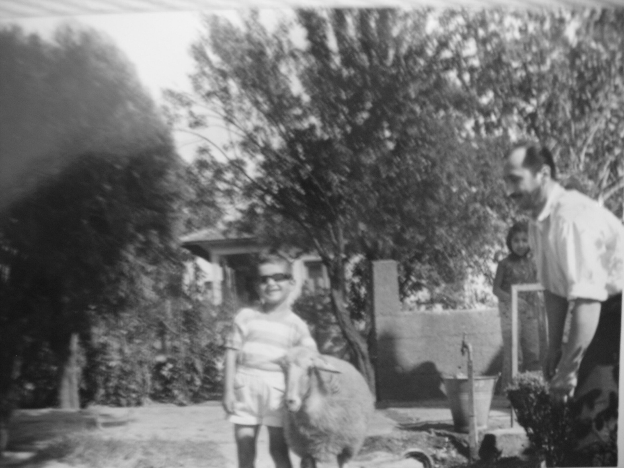 Yüreğime Ferahlık Veren Kınalı Raporu