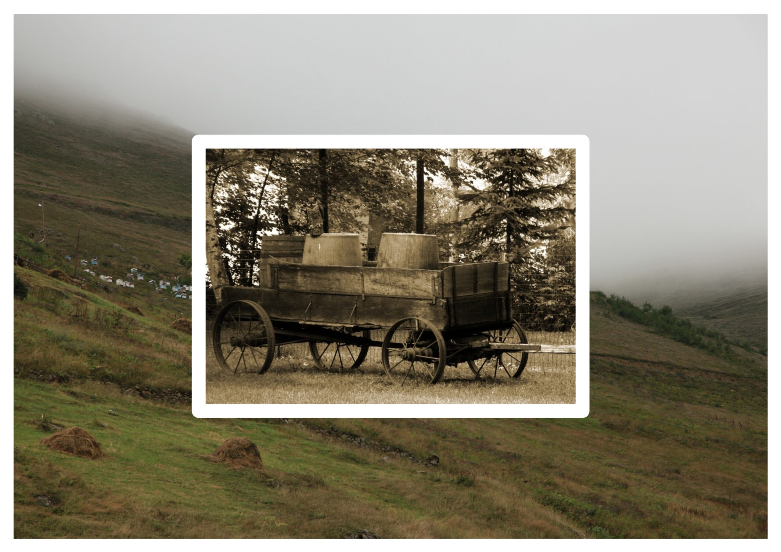 Kilitli Günlük: Nisan 1969