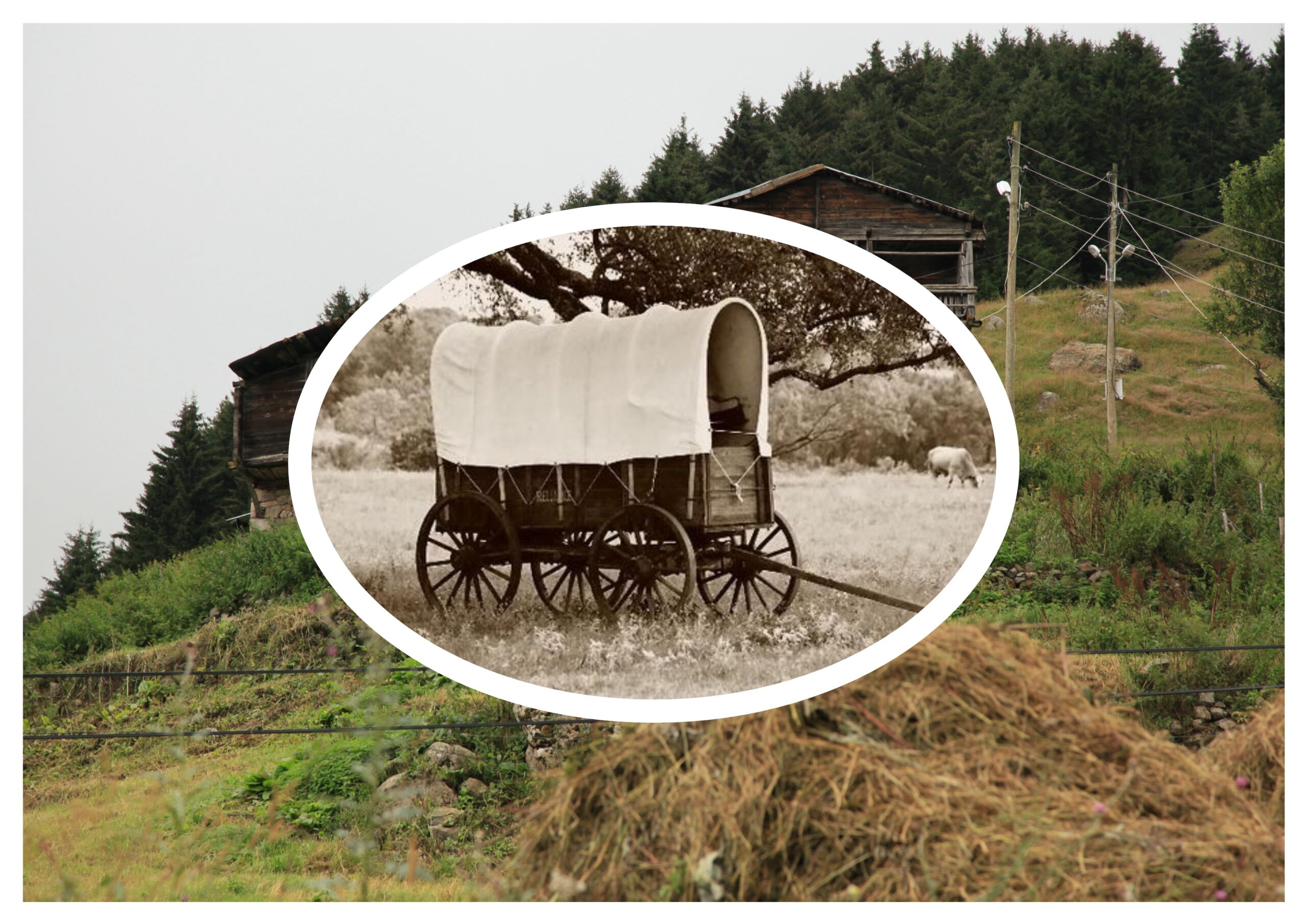 Kilitli Günlük: Haziran 1969