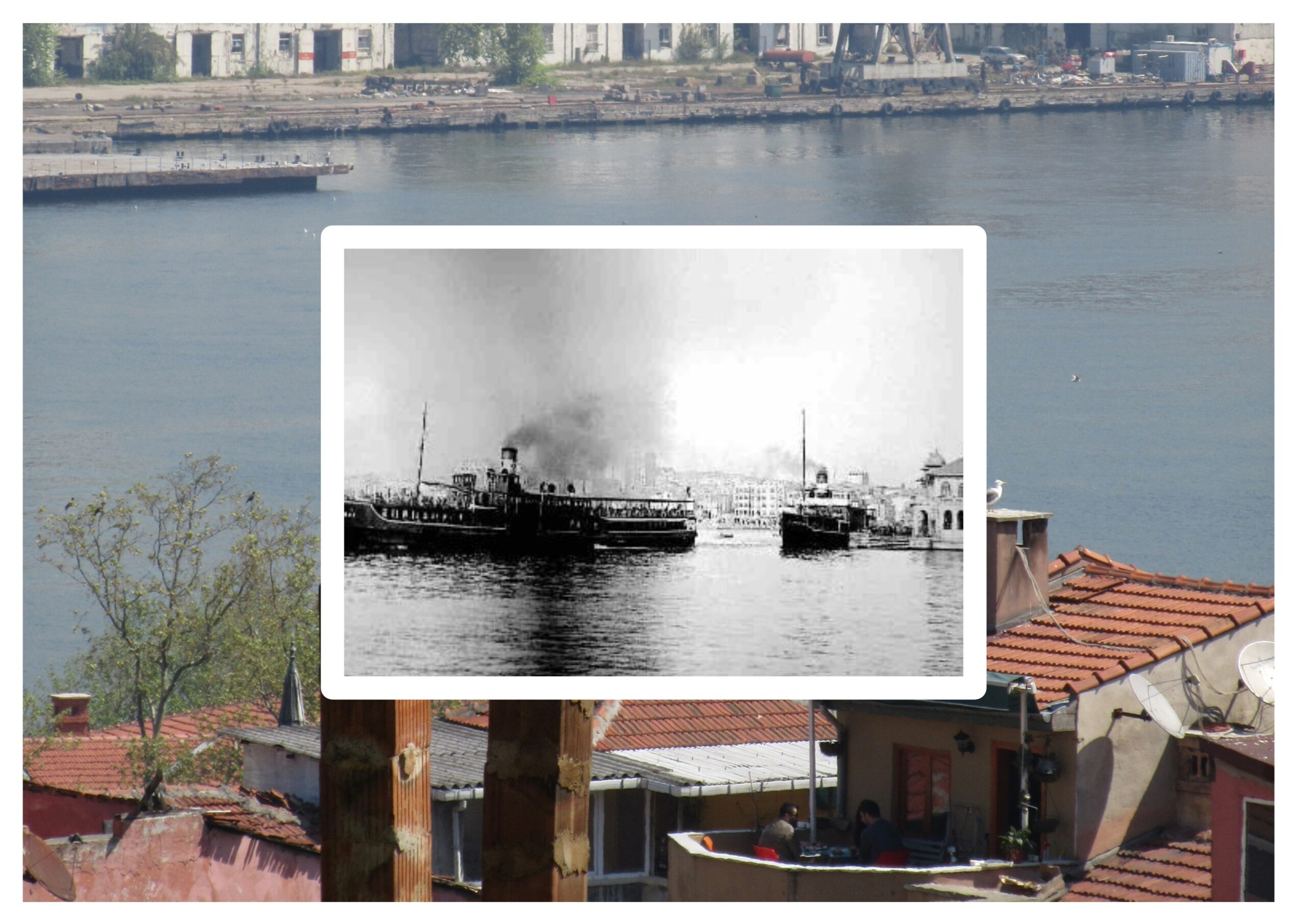 Ya Bu Deveyi Gütmeli Ya Bu Diyardan Gitmeli