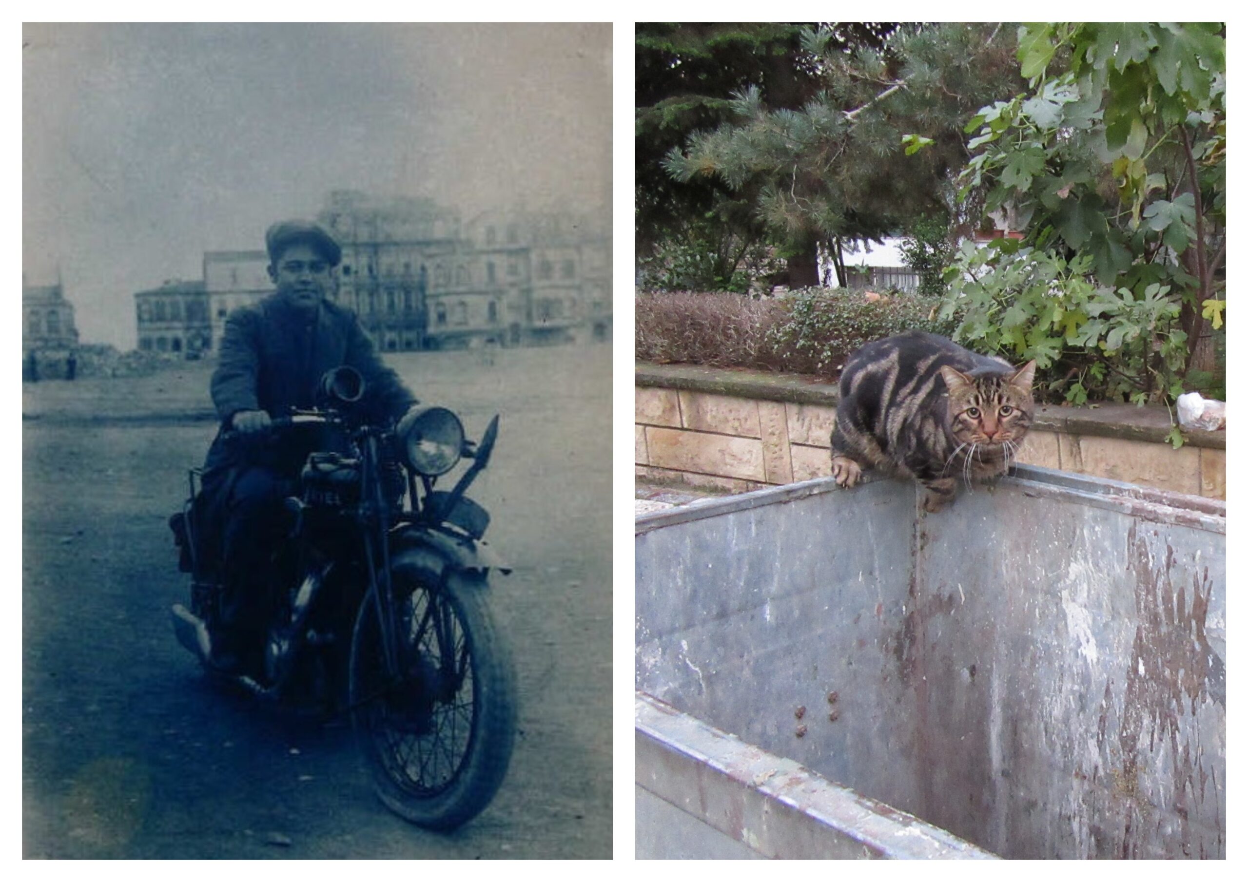 Gözün Görmediğini Tekerlek Nereden Bilsin?