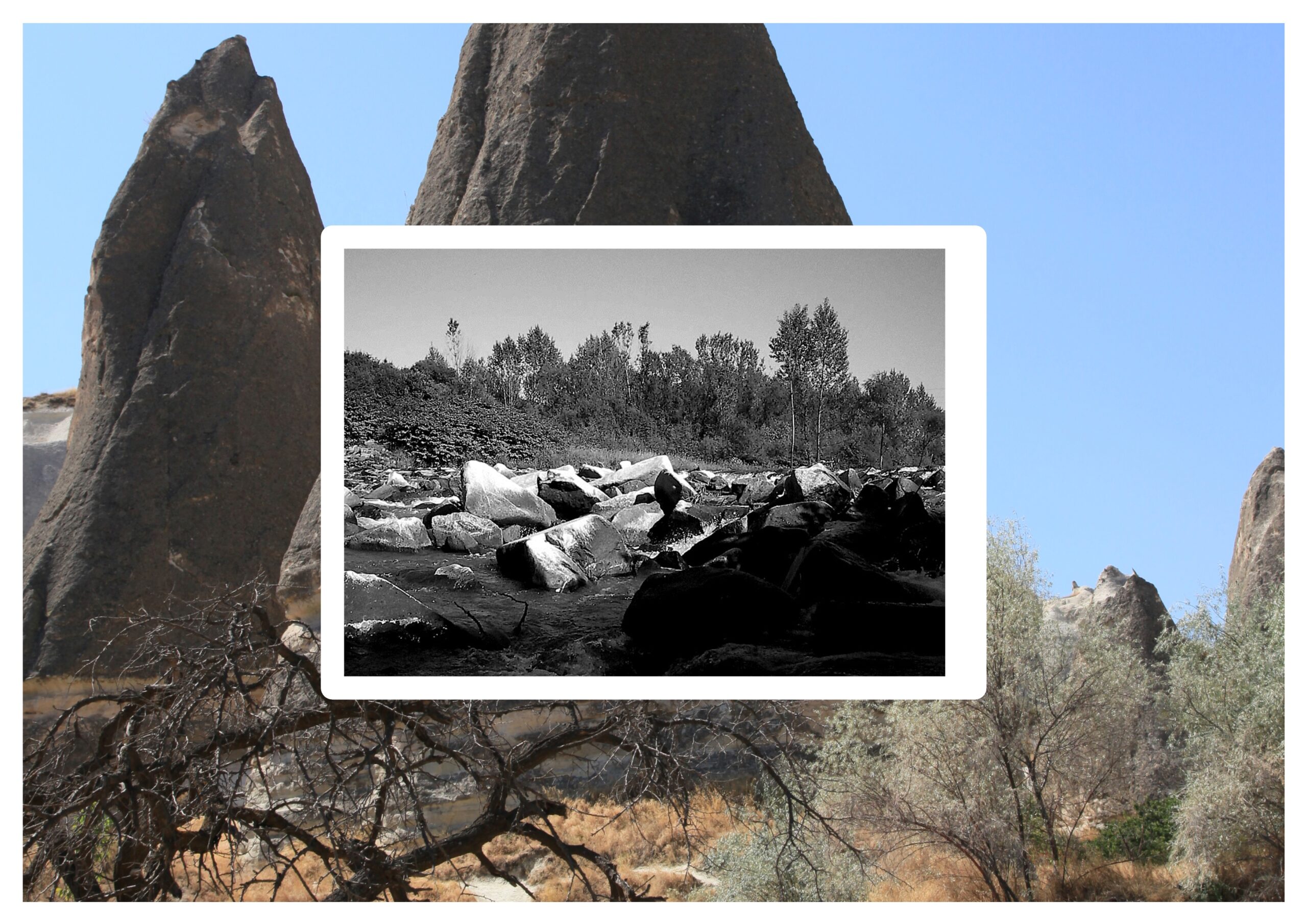 İş Falcılara Düşerse Donum da Ayağıma Düşer