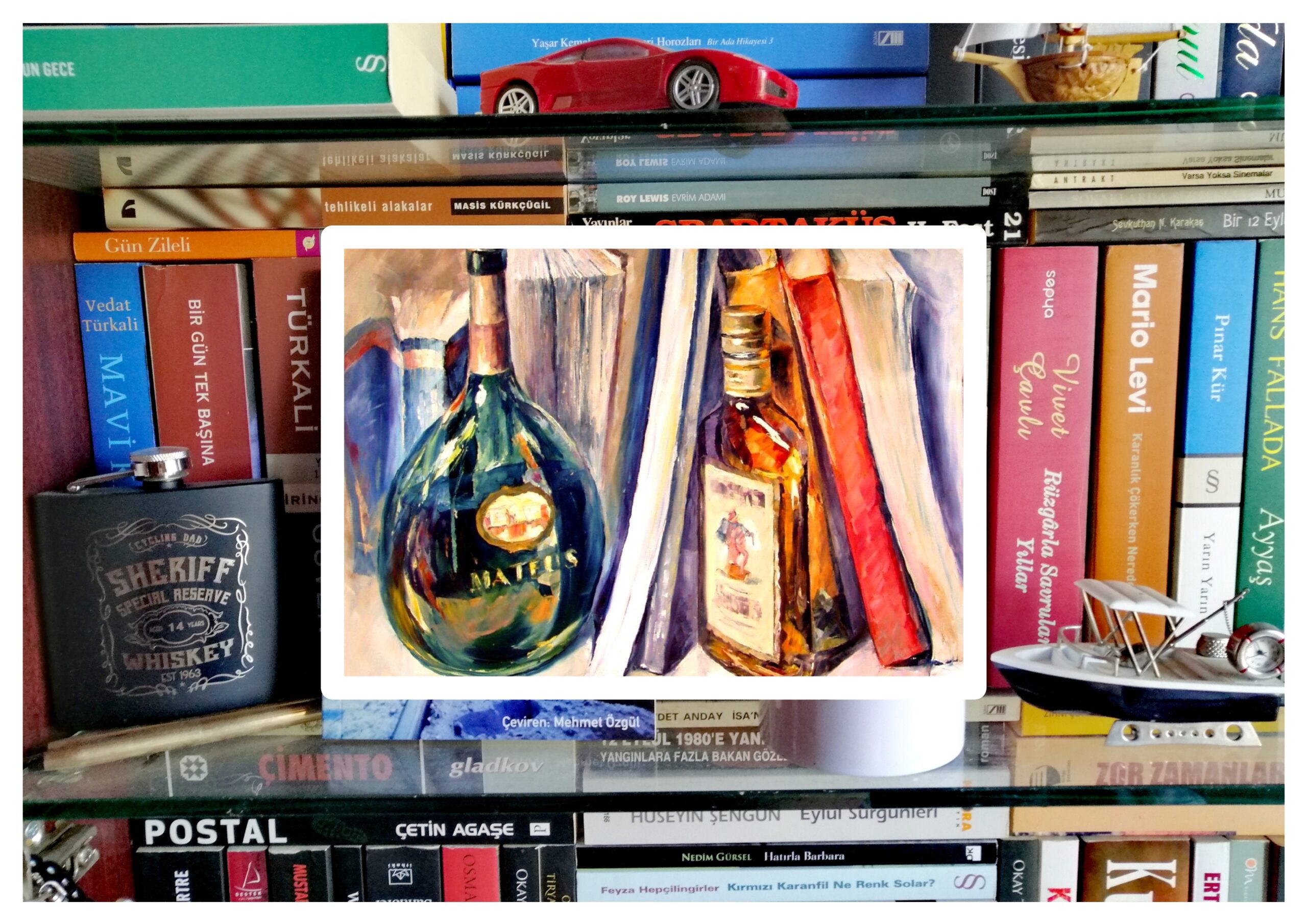 Kilitli Günlük: Temmuz 1969