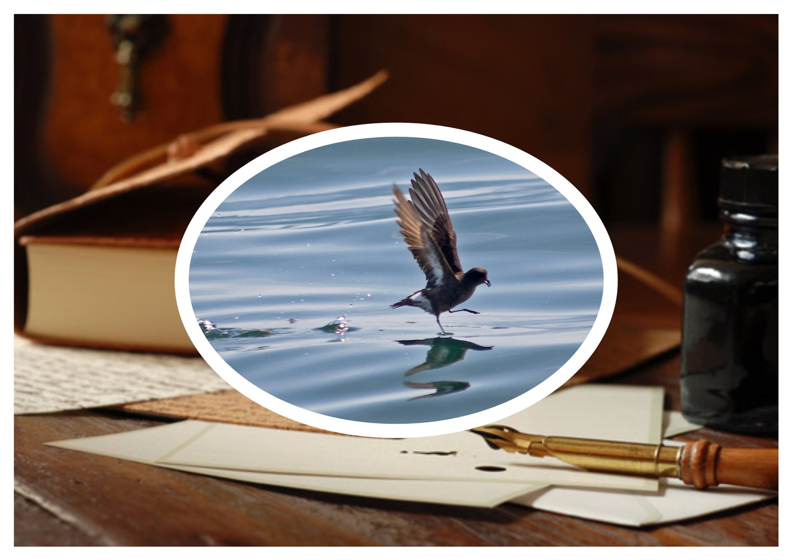 Dört Boran Fırtınası