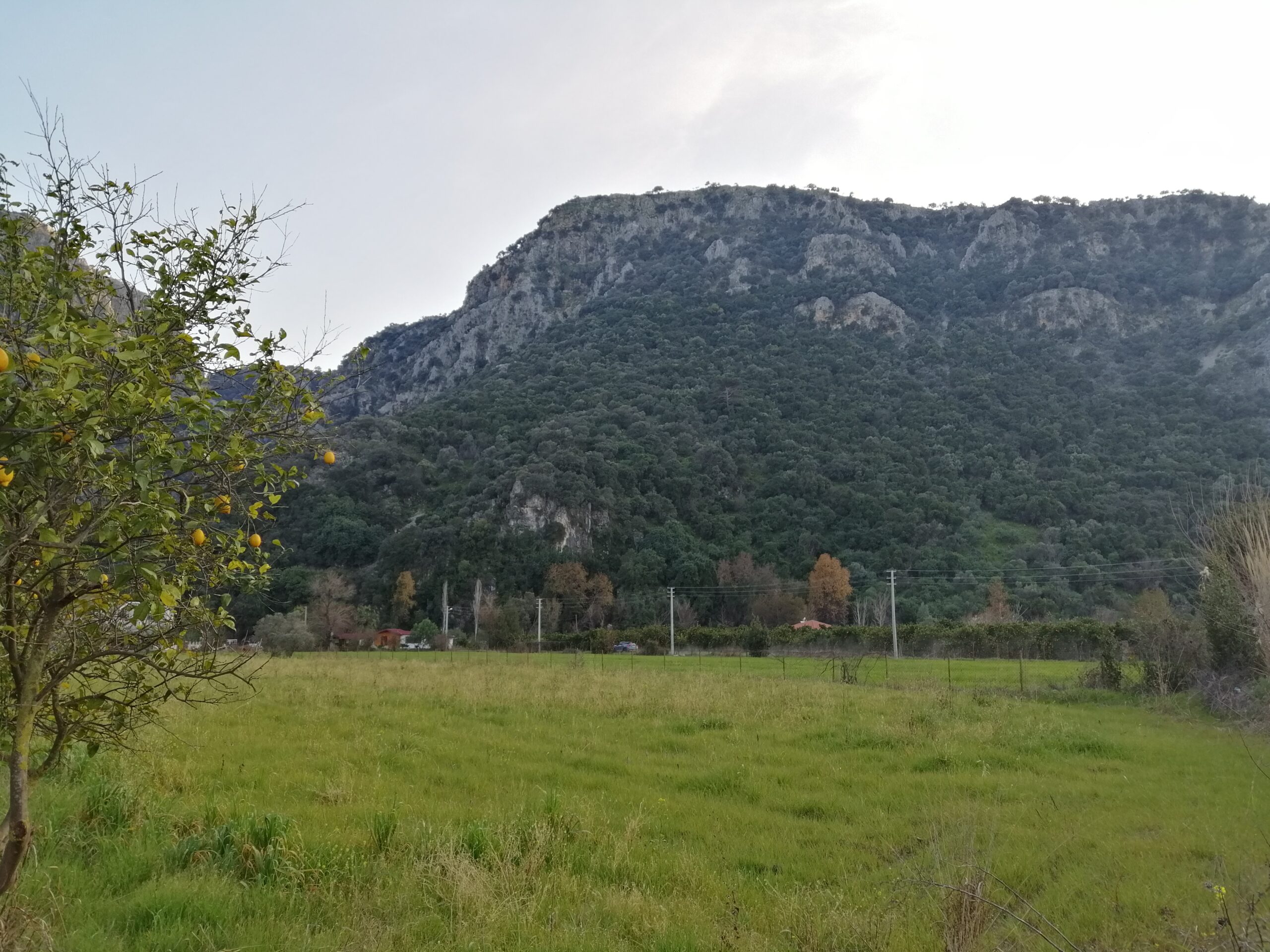 Salınıp Çıkayım Bari İçime Bahar Dolsun