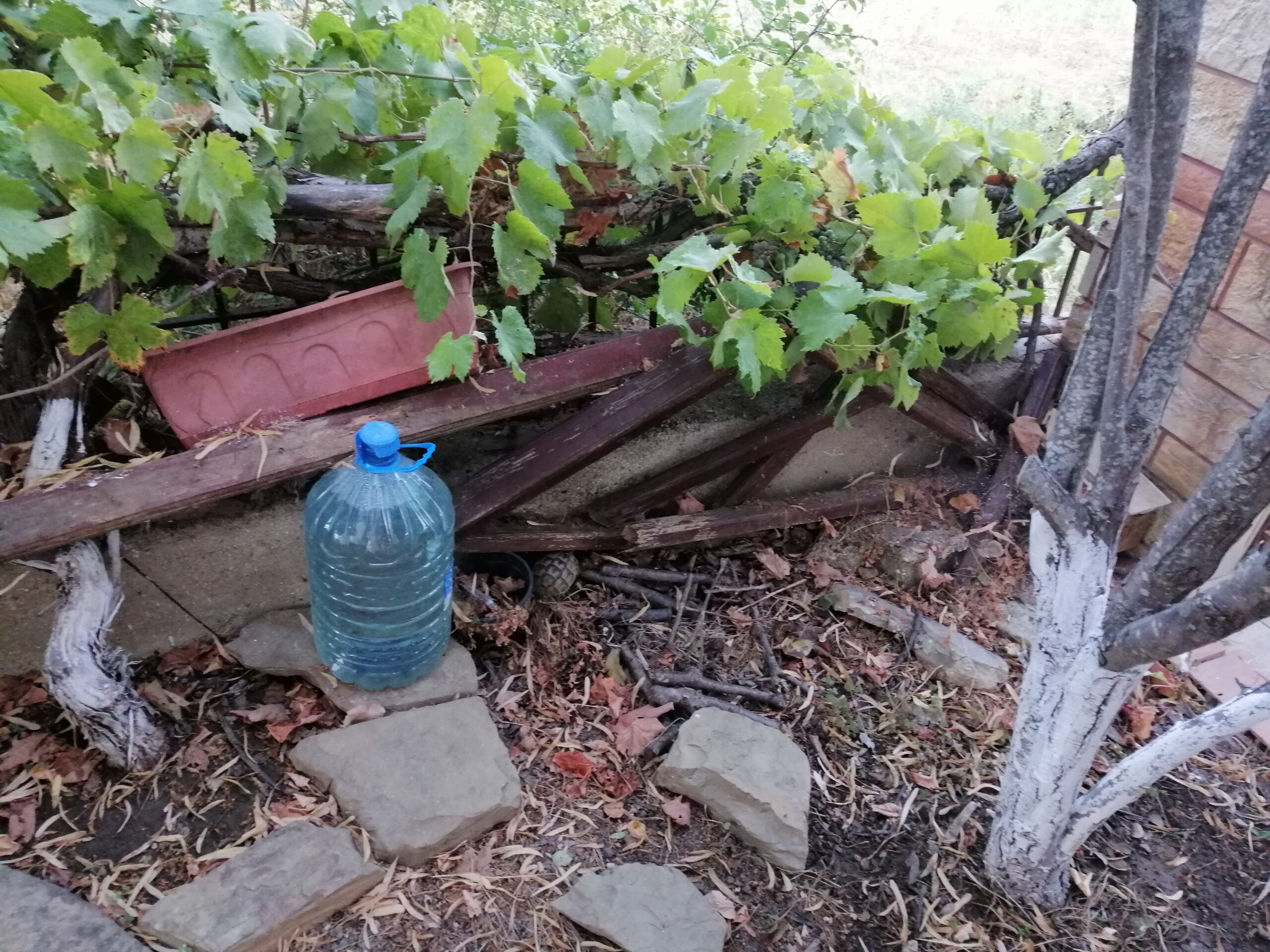 Kaplumbağa Gibi Ağır Aksak Geçen Günler