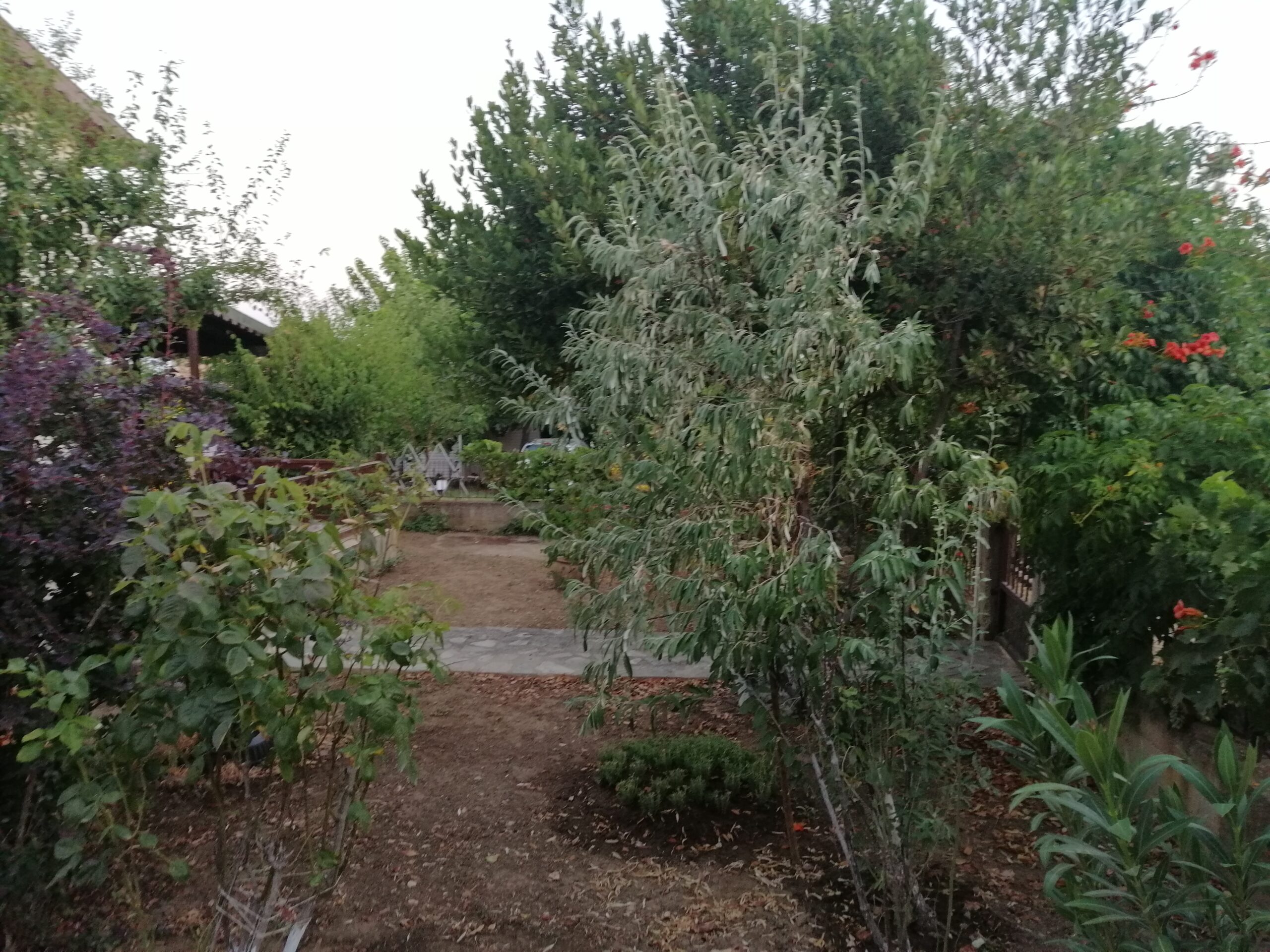 Saklambaçla Saklanıyorduk Bir Zamanlar