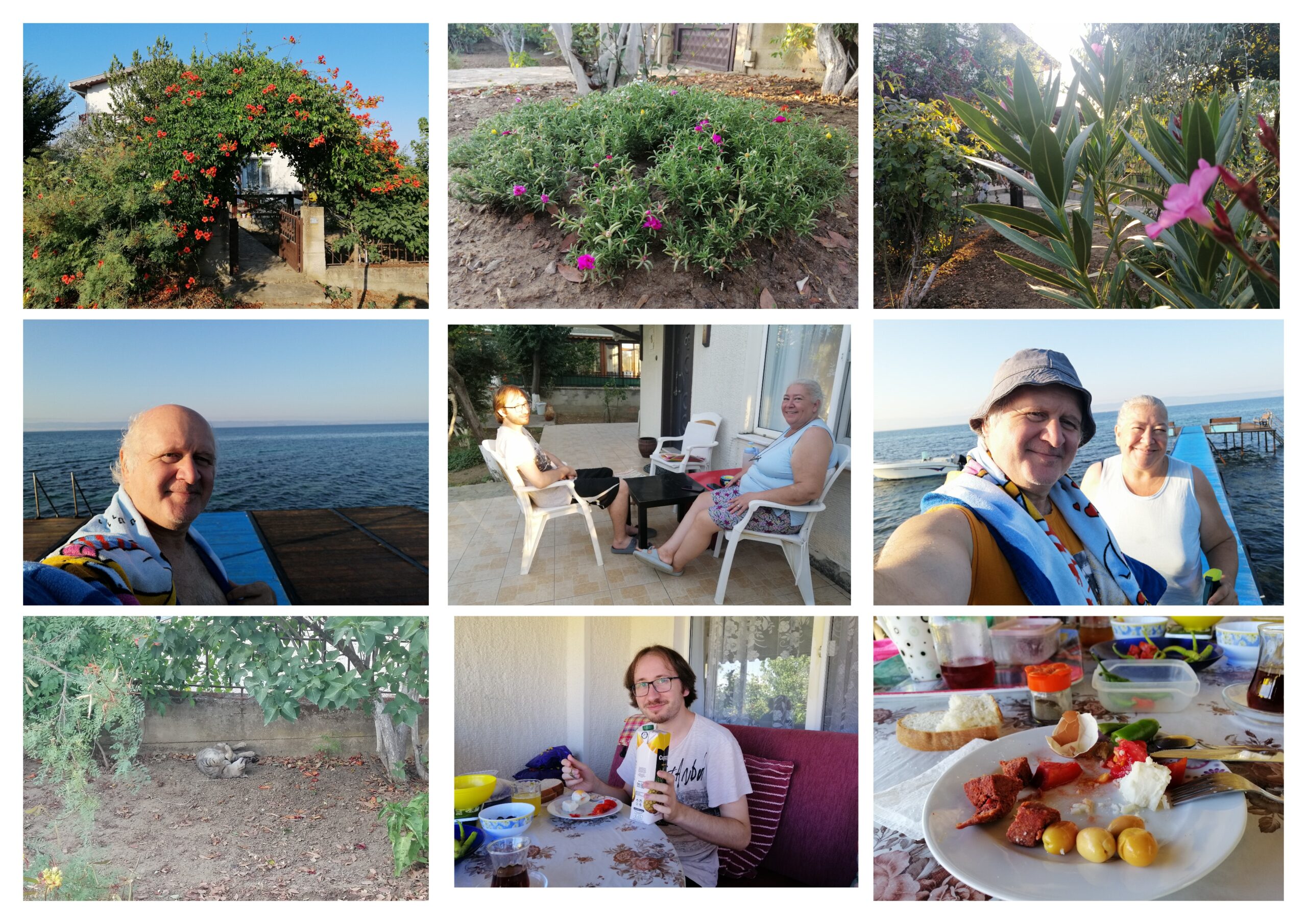 Dünya İşlerine Dalmış Gidiyoruz