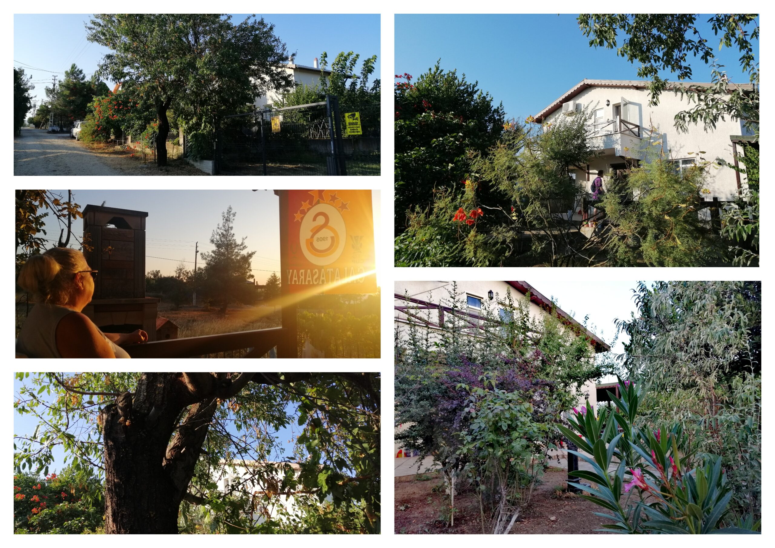 Yaşlı Bir Evde Olmak, Orda, Armağan’da…