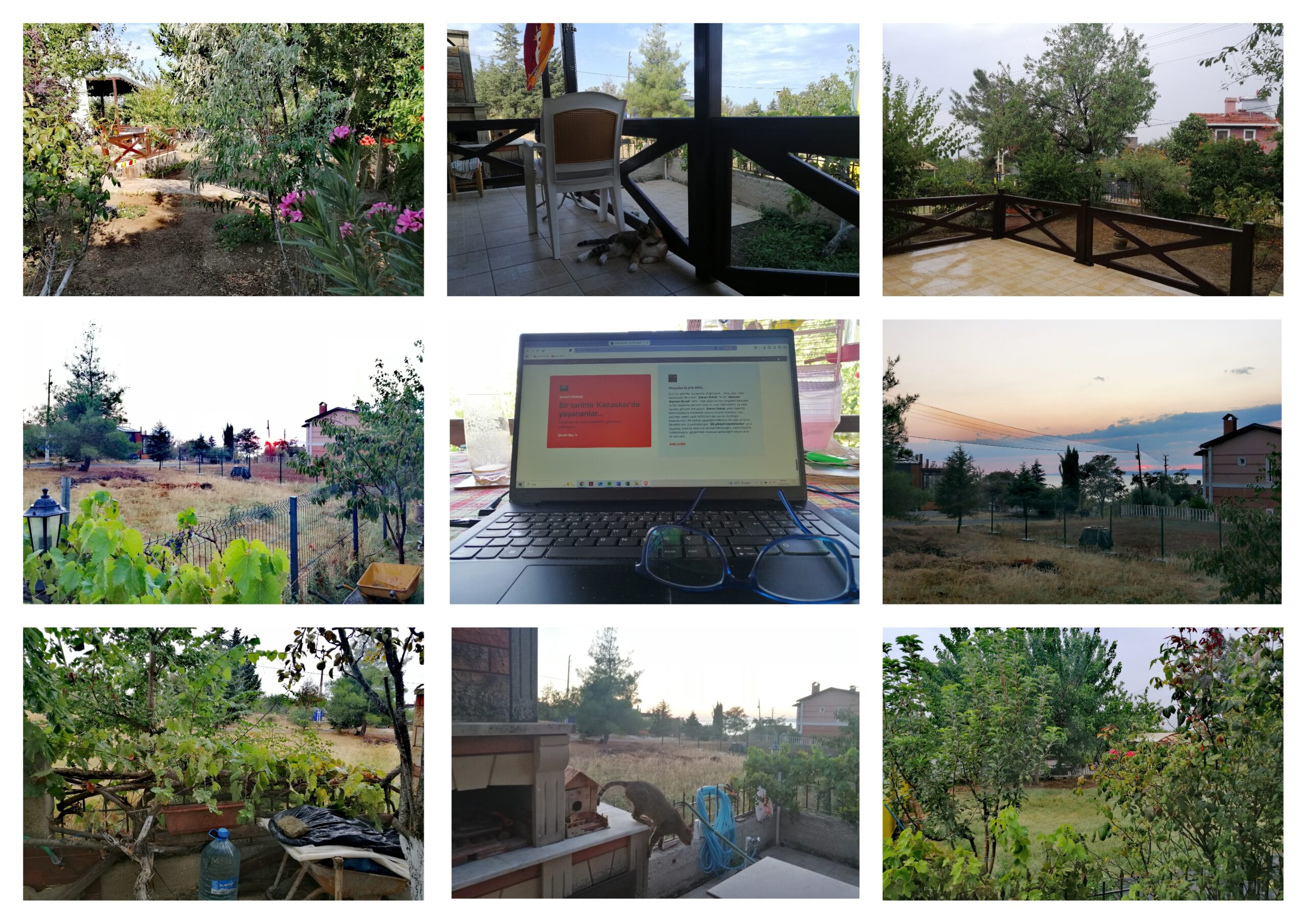 Kader Çizmiş Ağlarını Bu Çevrenin