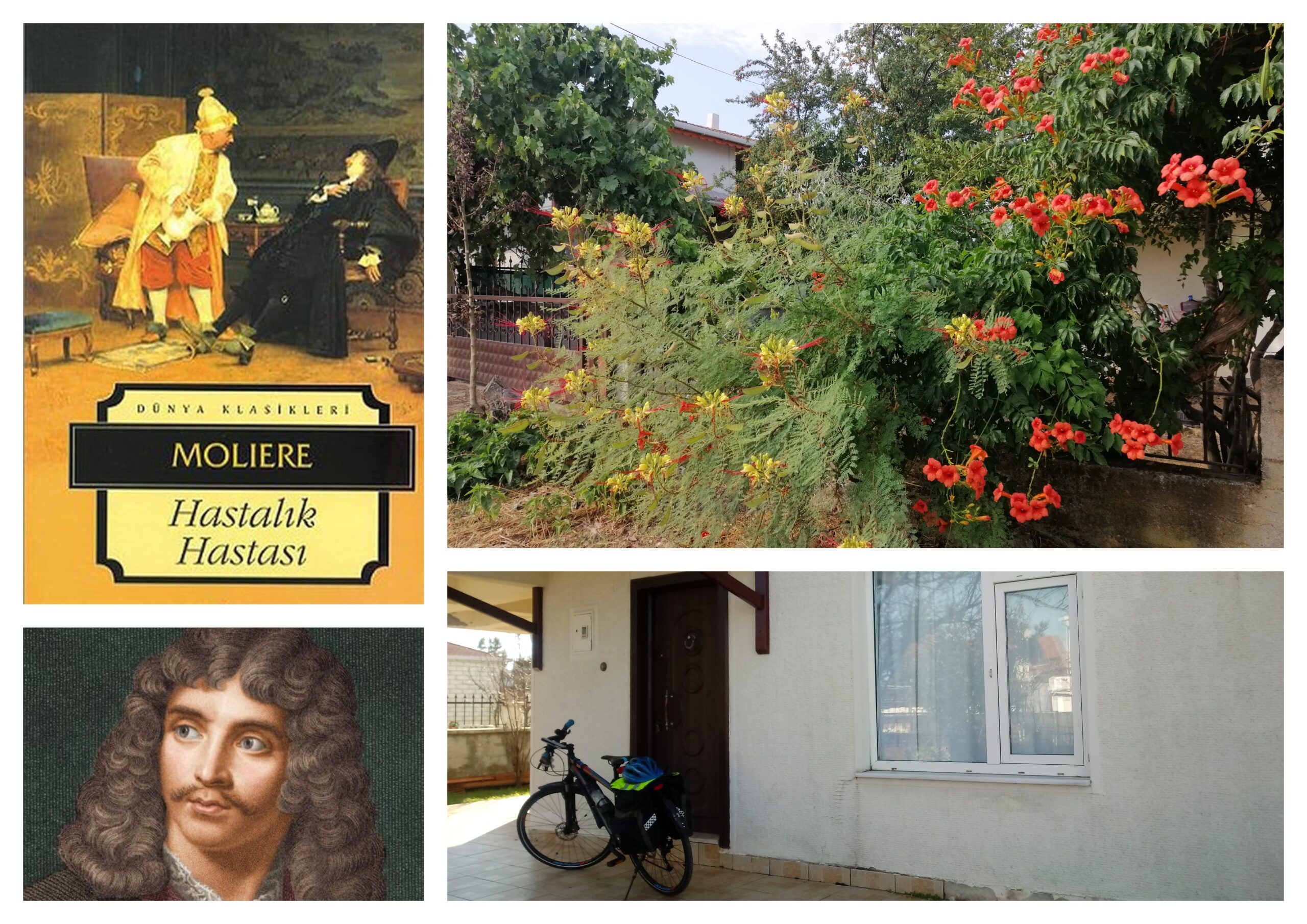 🚲&📖 Molière “Hastalık Hastası”