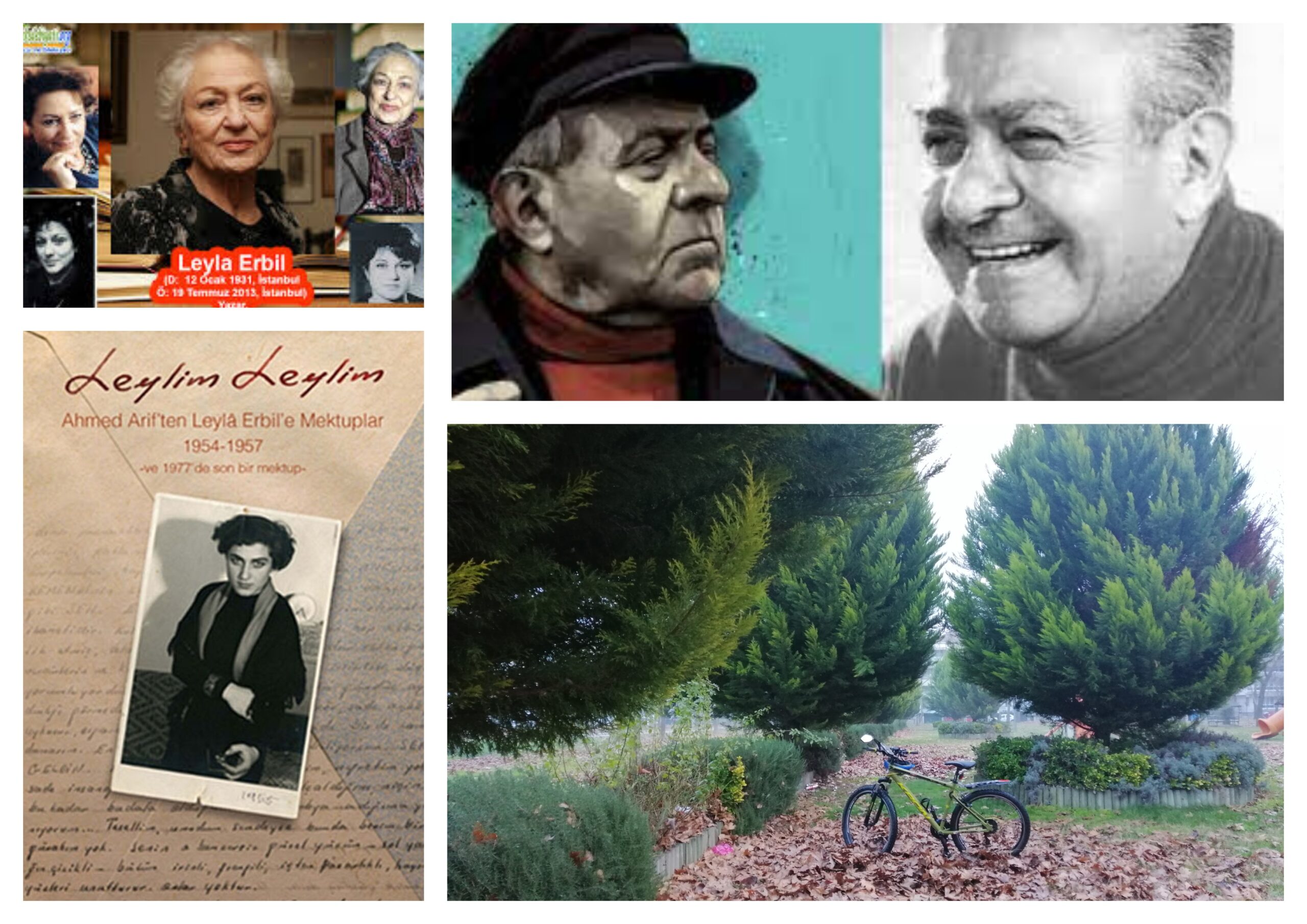 🚲&📖 Ahmed Arif “Leylim Leylim”