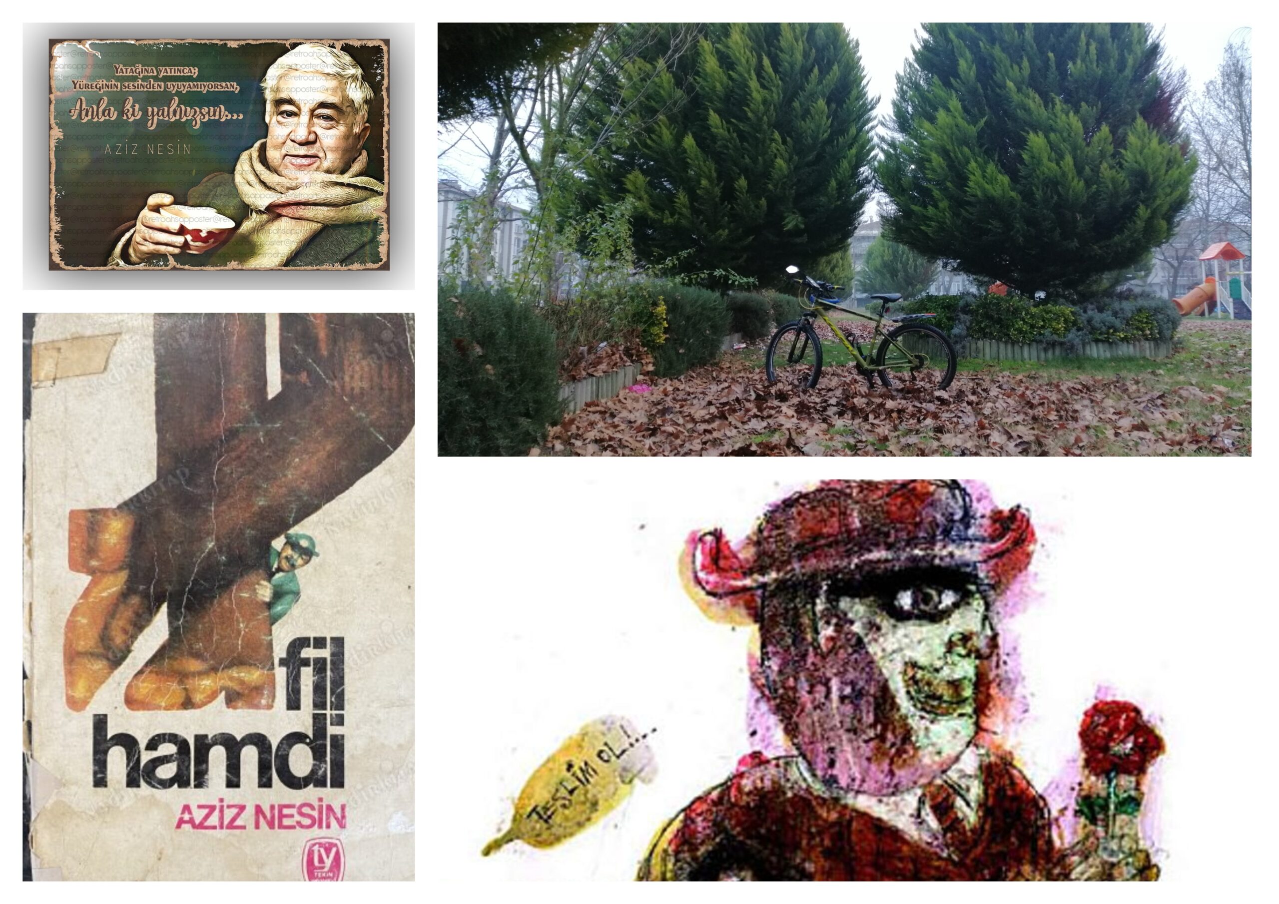 🚲&📖 Aziz Nesin “Fil Hamdi”