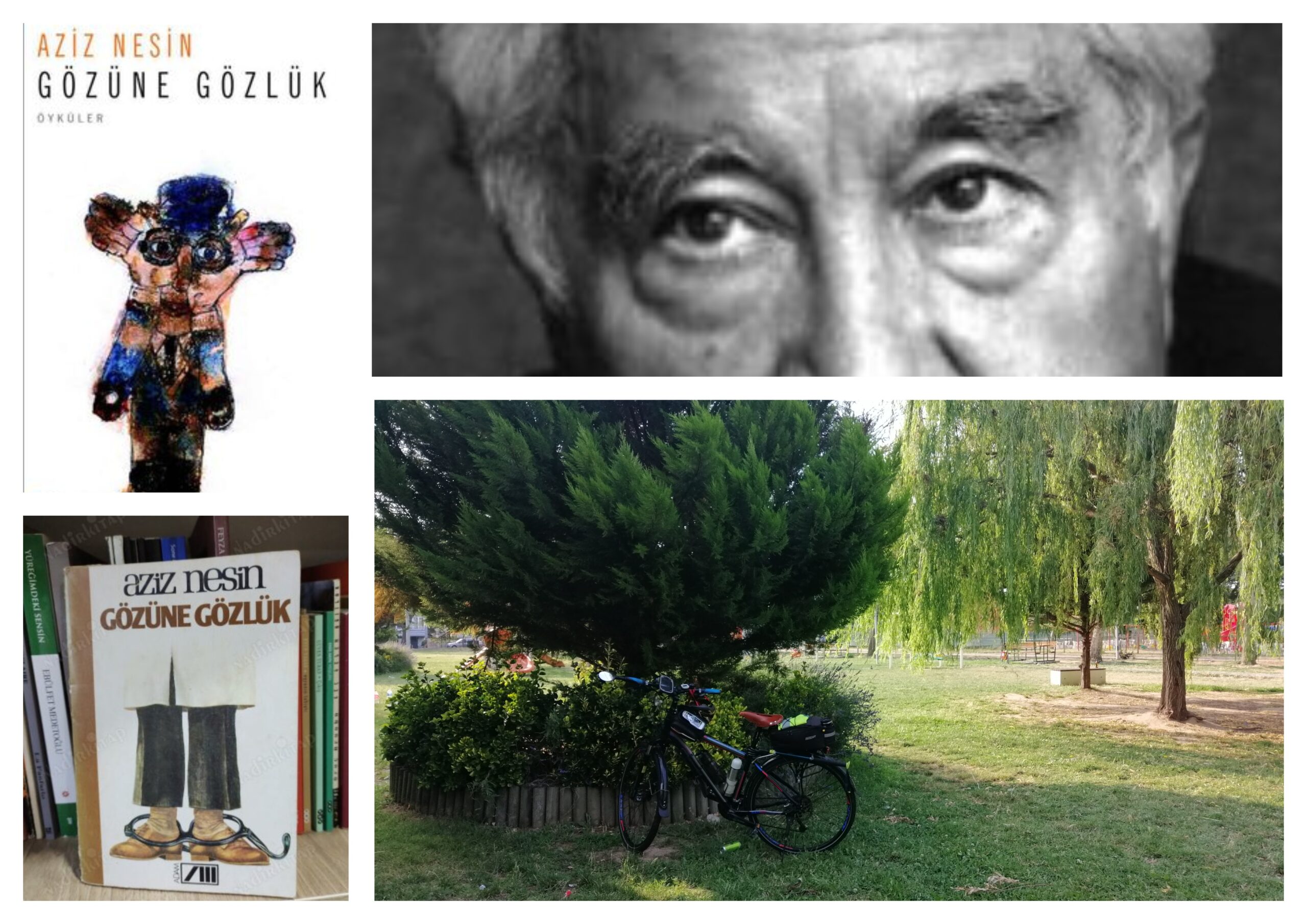 🚲&📖 Aziz Nesin “Gözüne Gözlük”