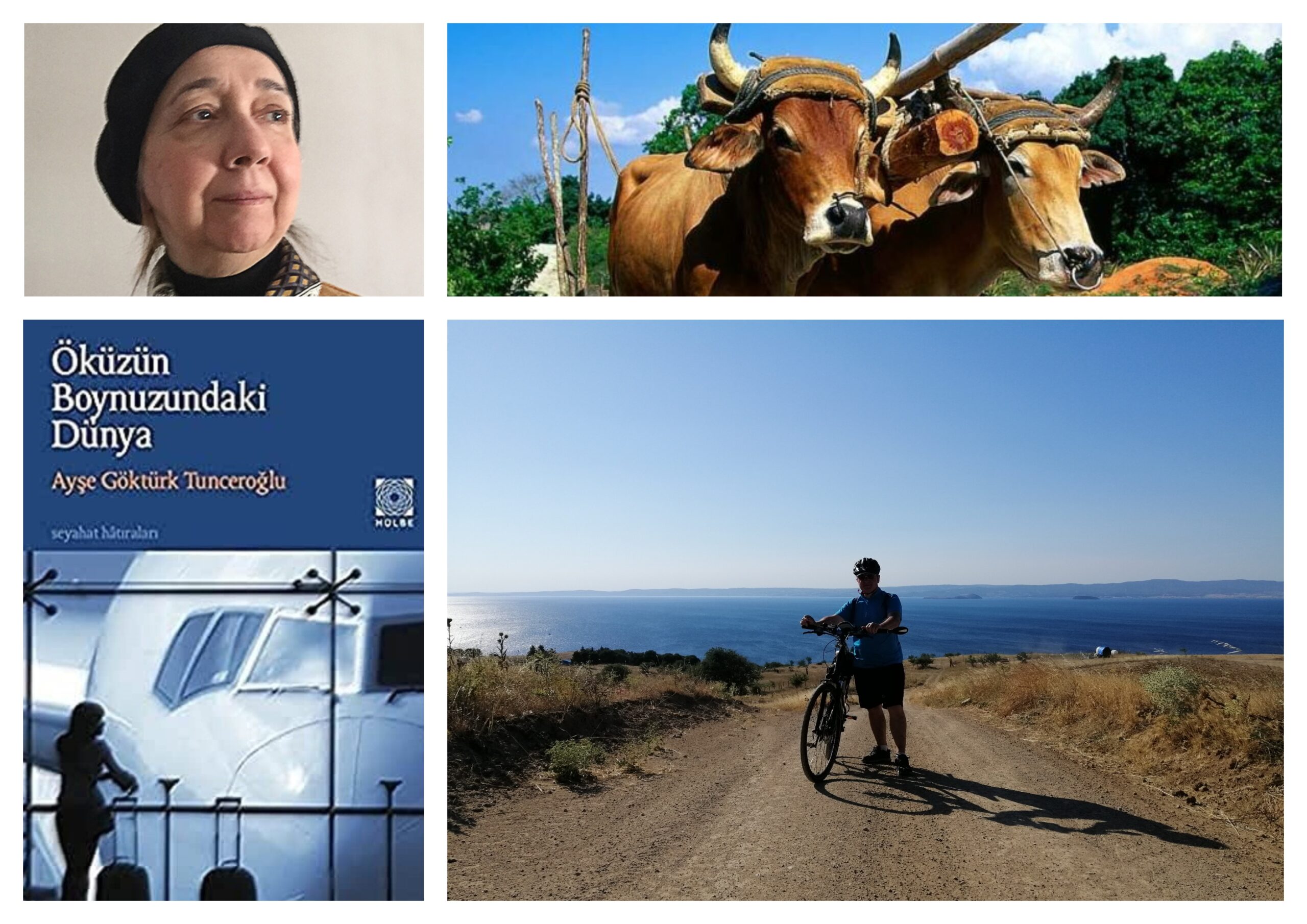 🚲&📖 Ayşe Göktürk Tunceroğlu “Öküzün Boynuzundaki Dünya”